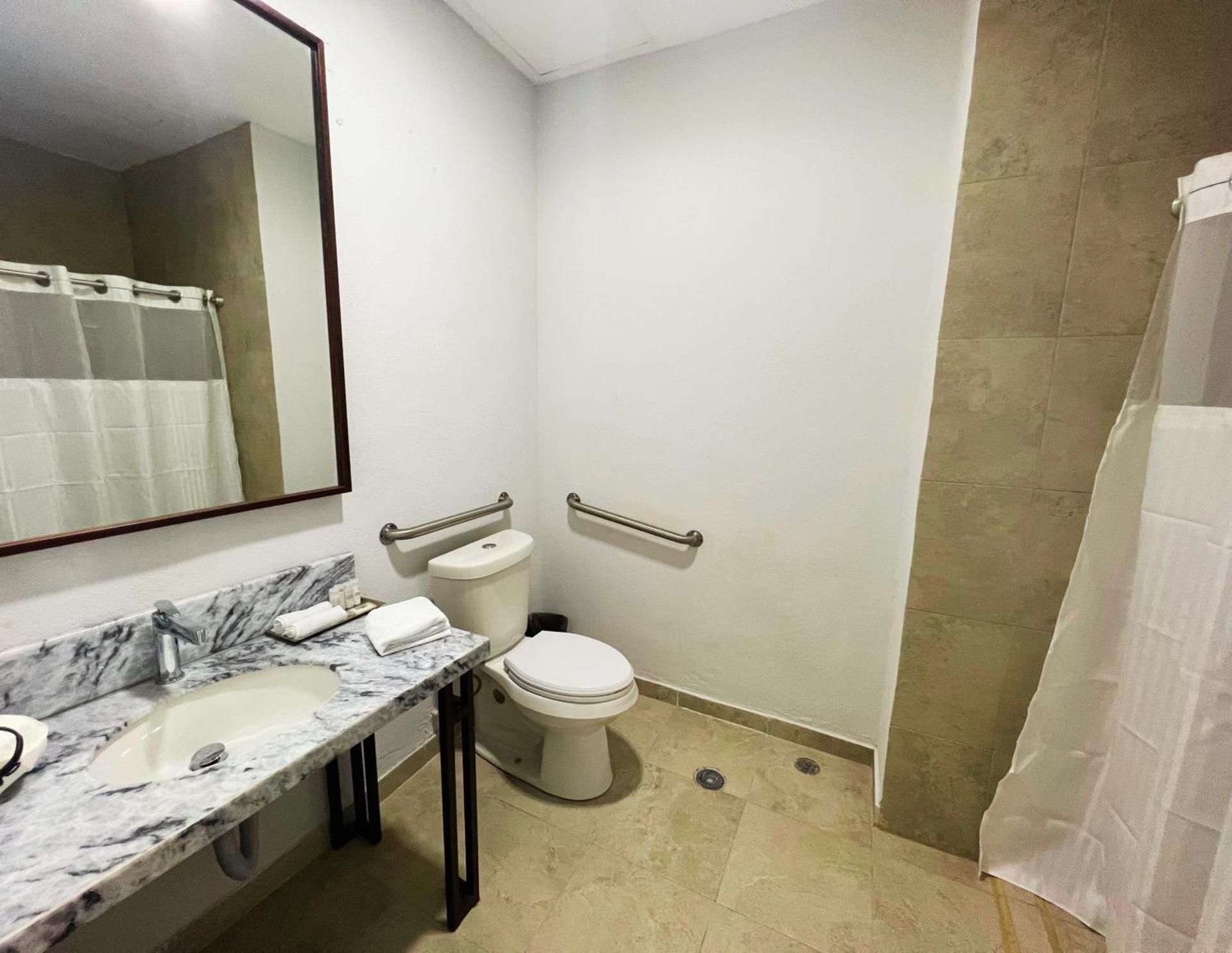 1 King Bed, Mobility Accessible Room, Non Smoking