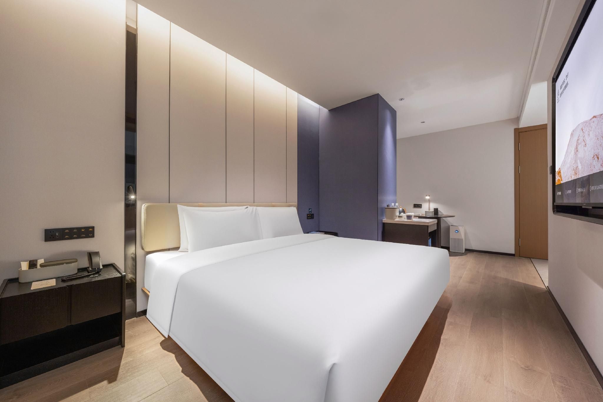 Elegant Double Room