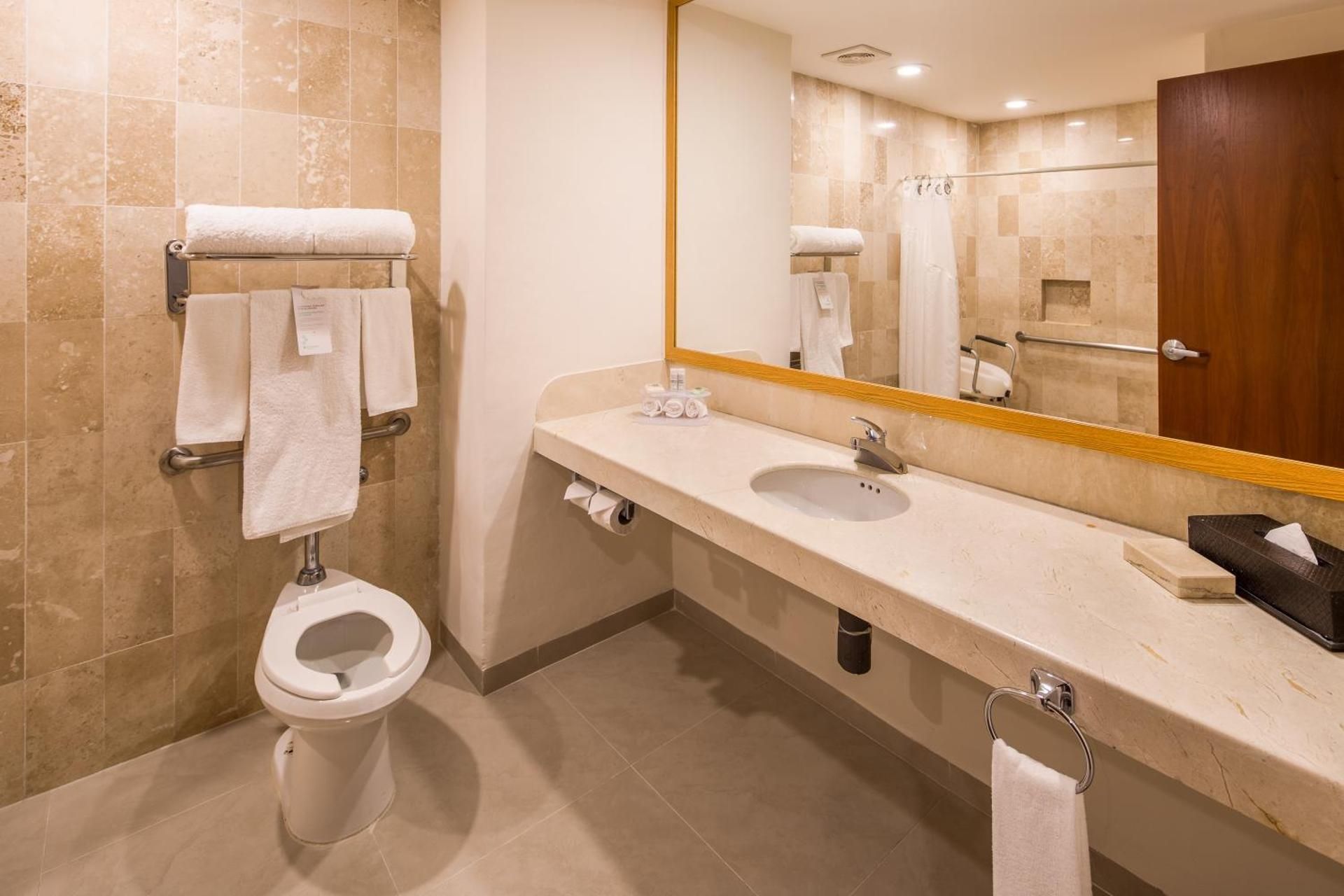 King Room - Mobility Access/Non-Smoking