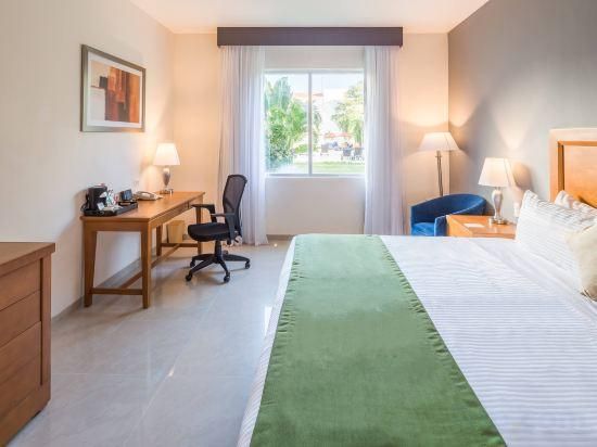1 King Bed, Mobility Accessible Room, Non-Smoking