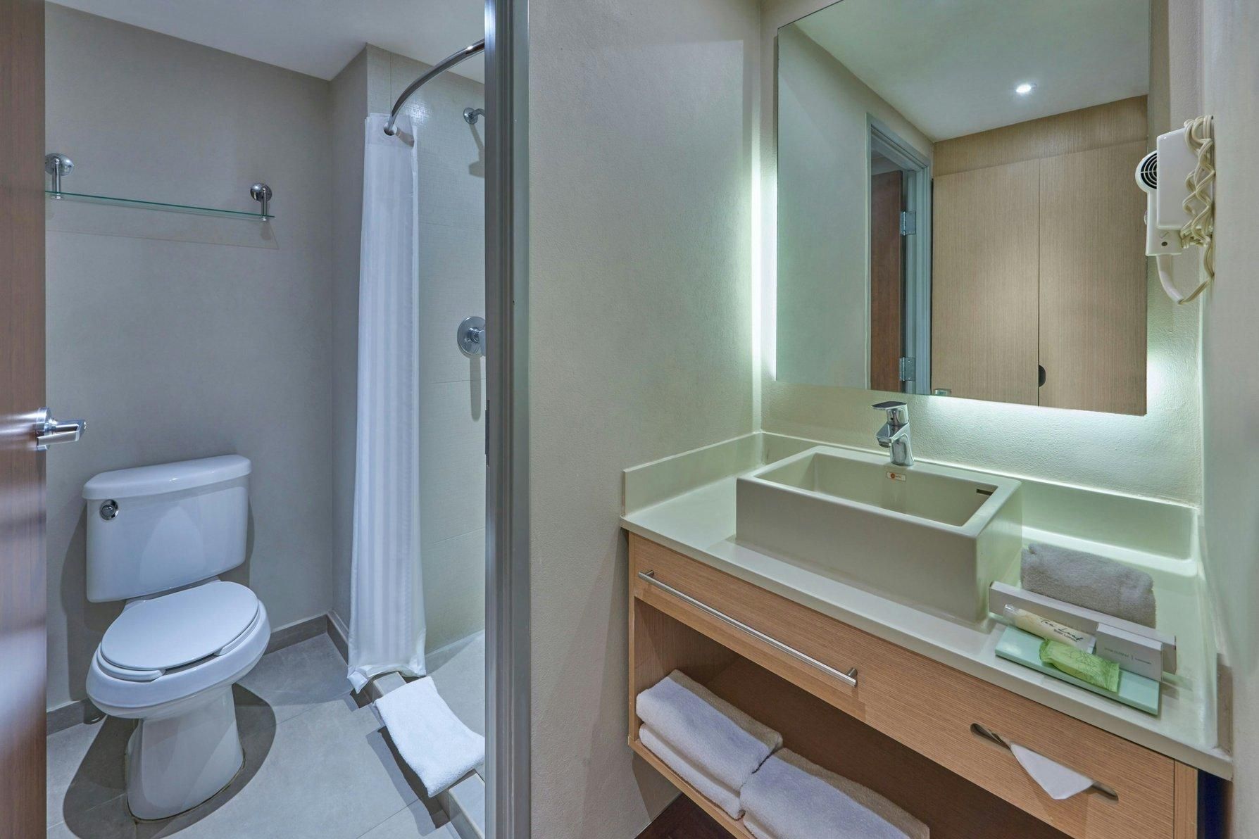 Suite, 1 King, Sofa bed