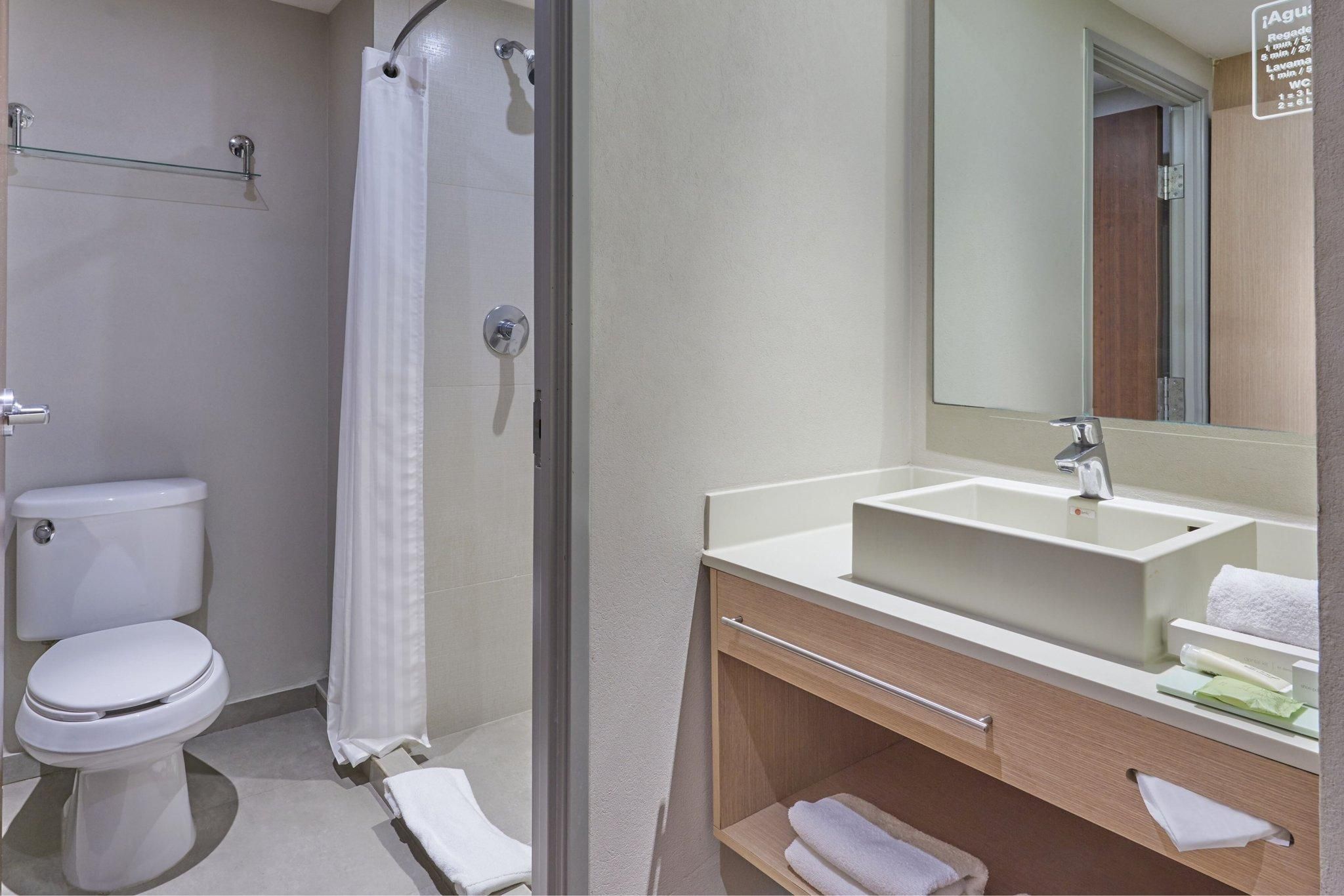 Suite, 2 Double, Sofa bed
