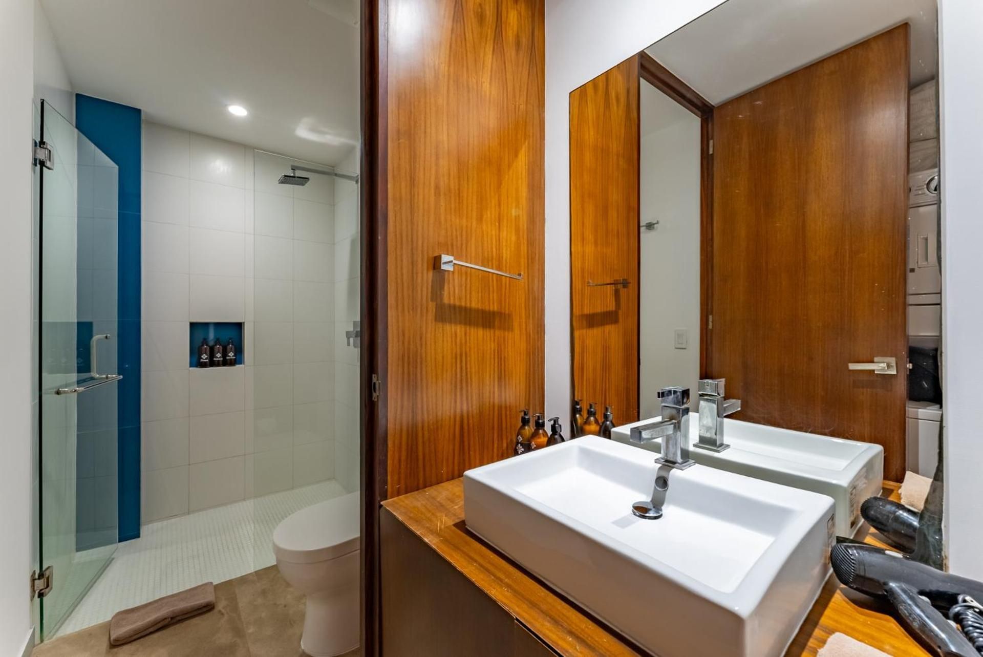 Deluxe One-Bedroom Apartment