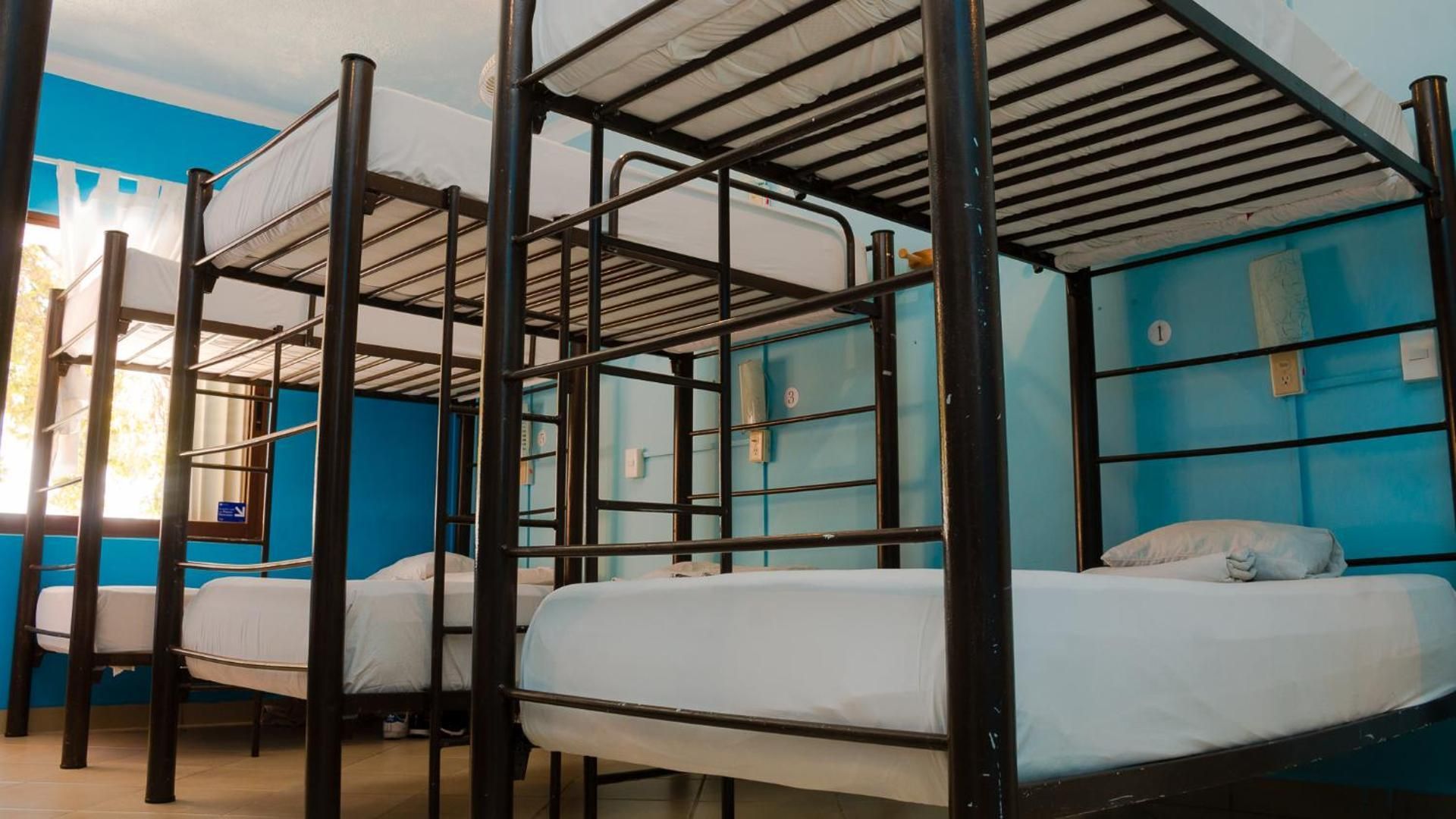 Single Bed in Mixed Dormitory Room
