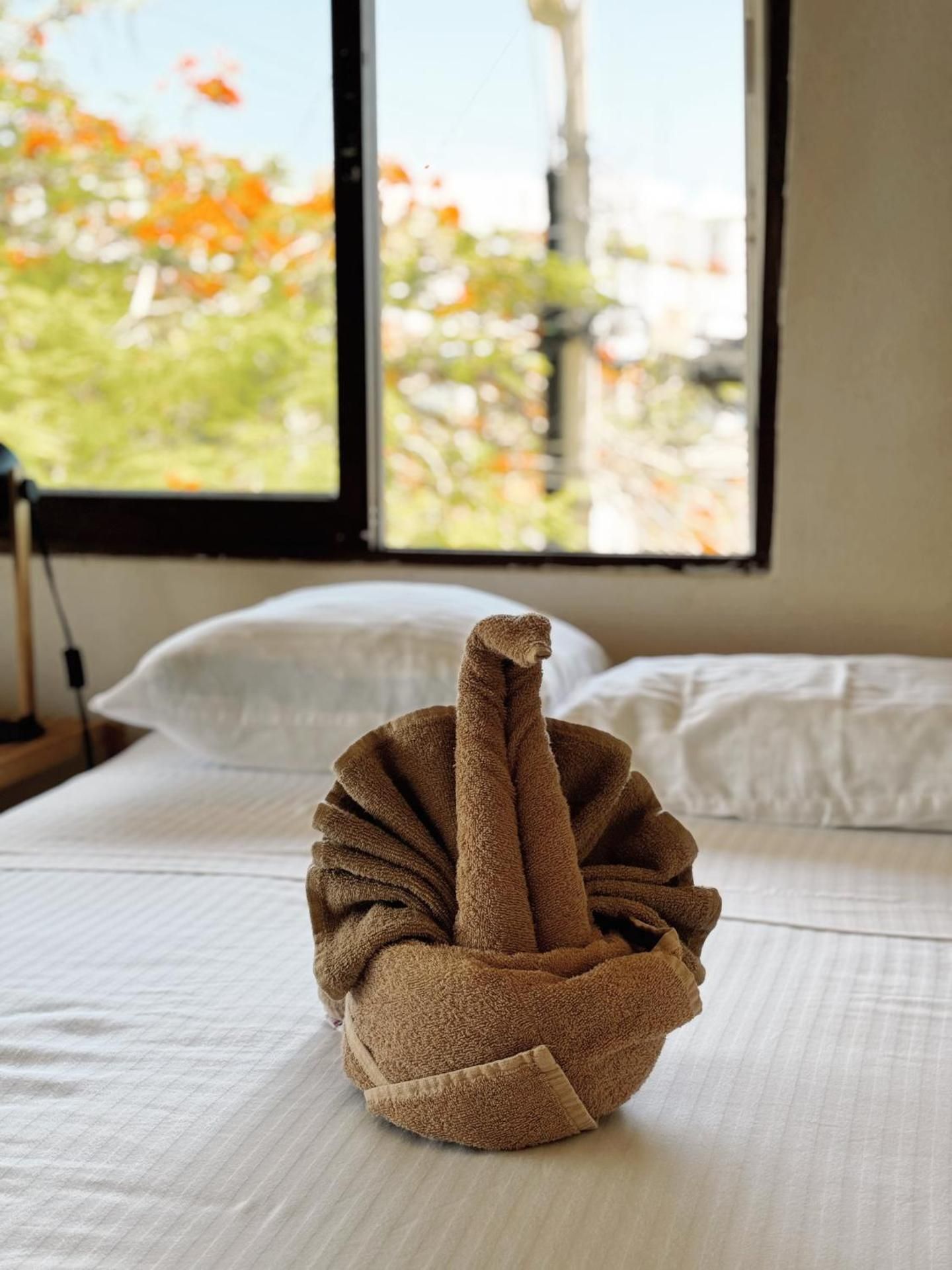 Premium Quadruple Room