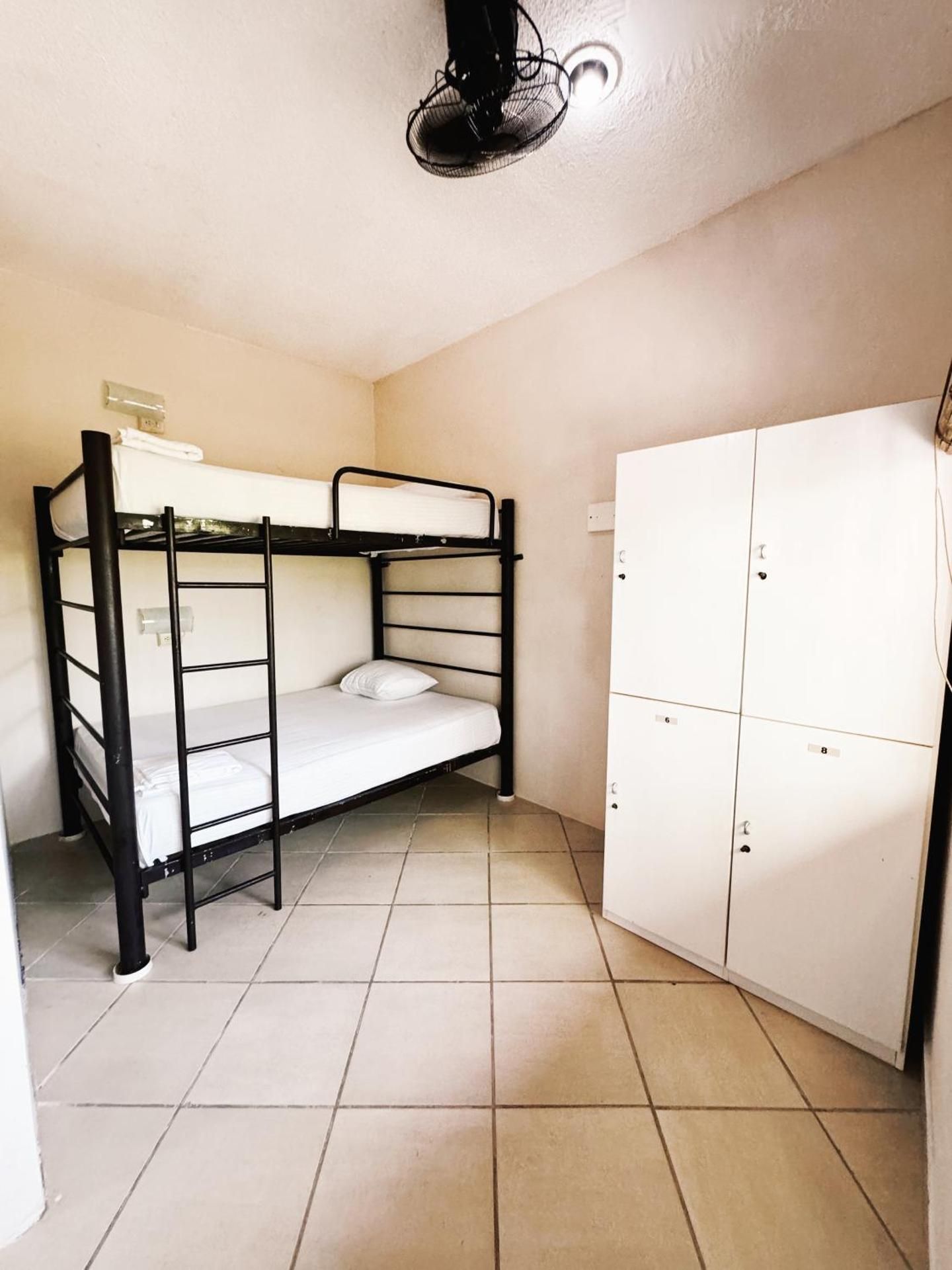 Bed in 6-Bed Female Dormitory Room