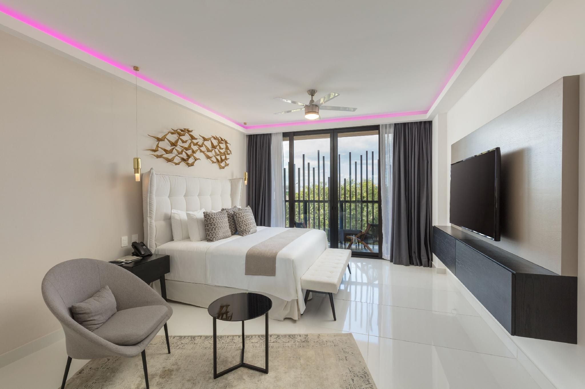 One Bed room Suite