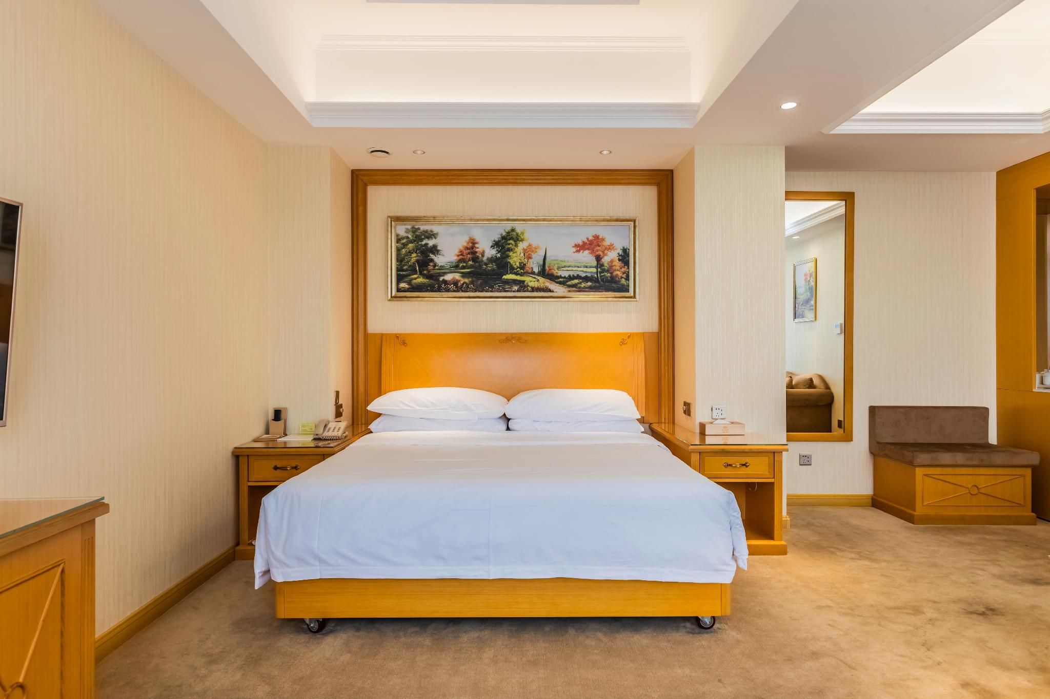 Vienna - Executive 1 Bed Room