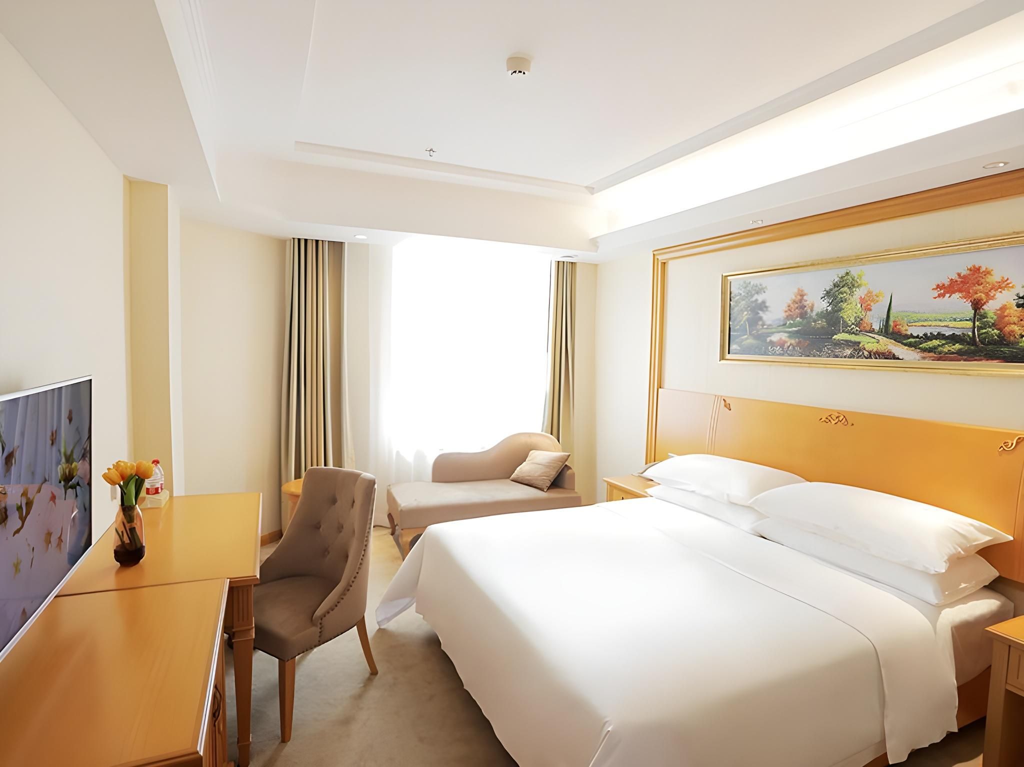 Vienna - Deluxe Room