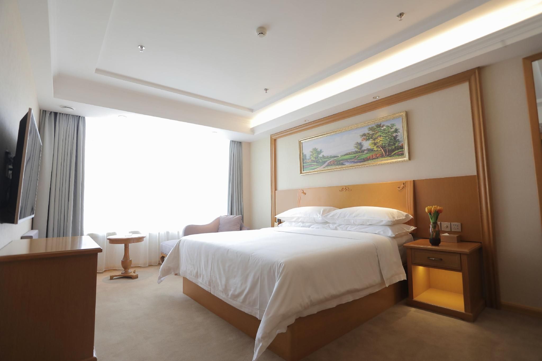 Vienna - Superior 1 Bed Room