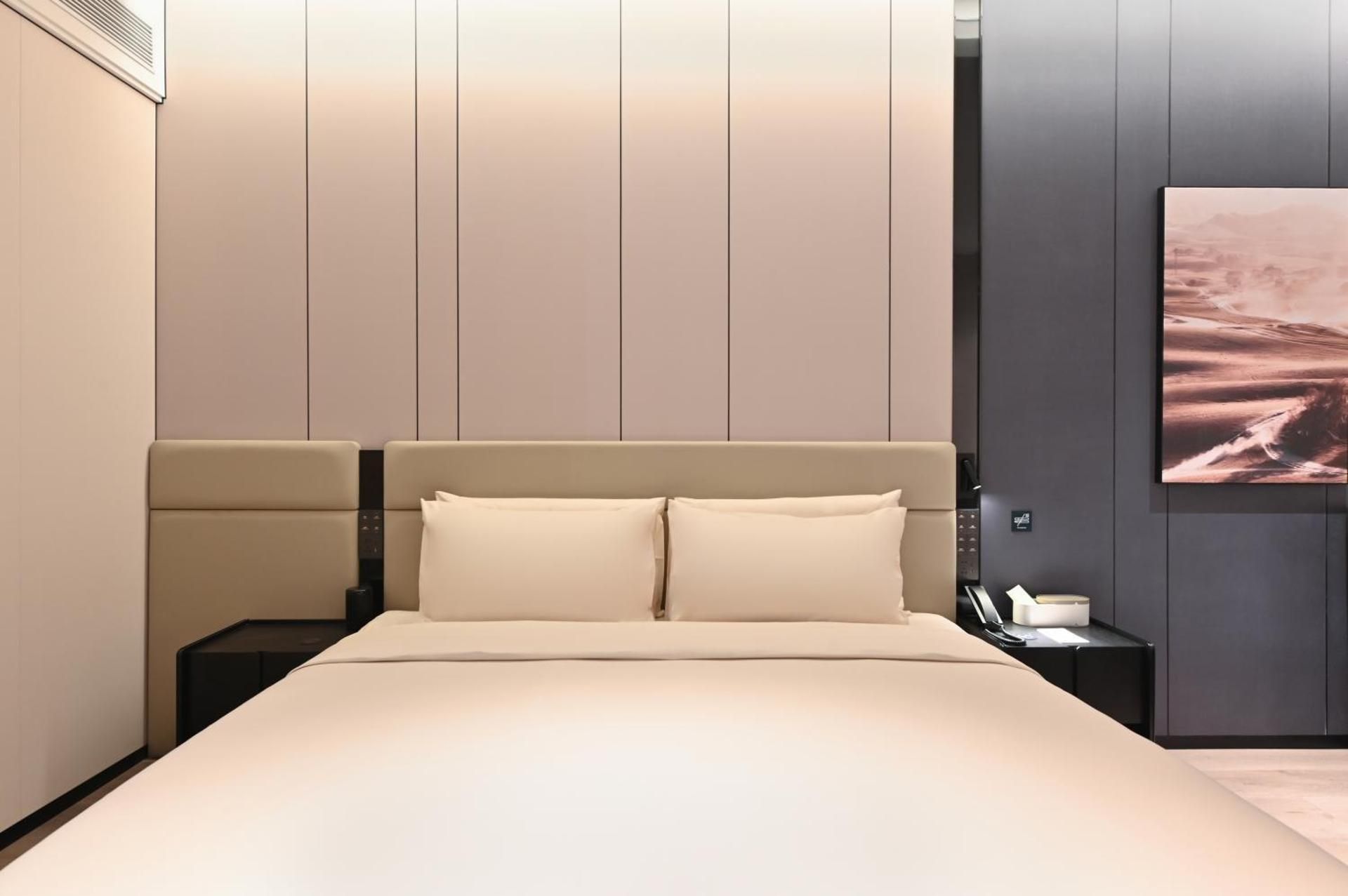 Atour Hotel Shenyang Taiyuan Street Minzhu Square Jimu Queen Room 2