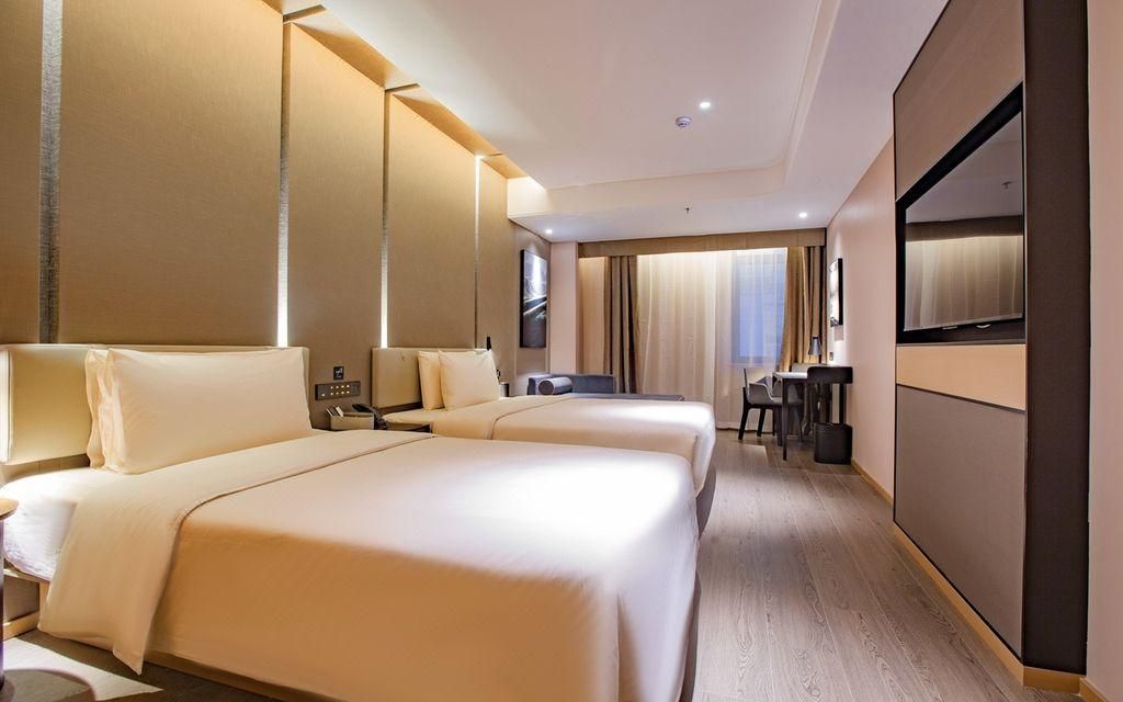 Elegant Twin Room