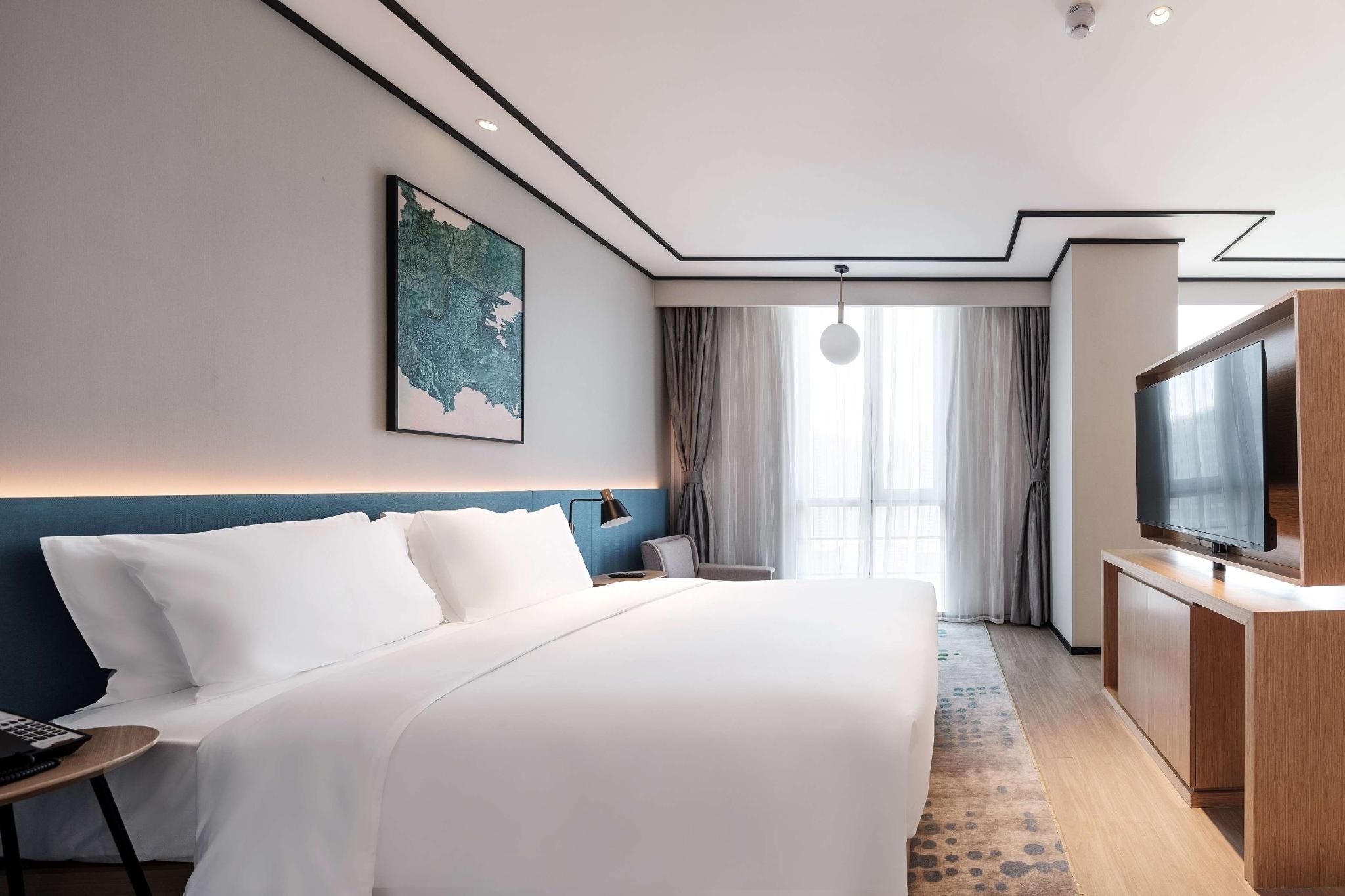King Accessible Room 