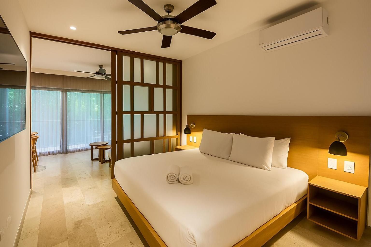 Deluxe One-Bedroom Apartment