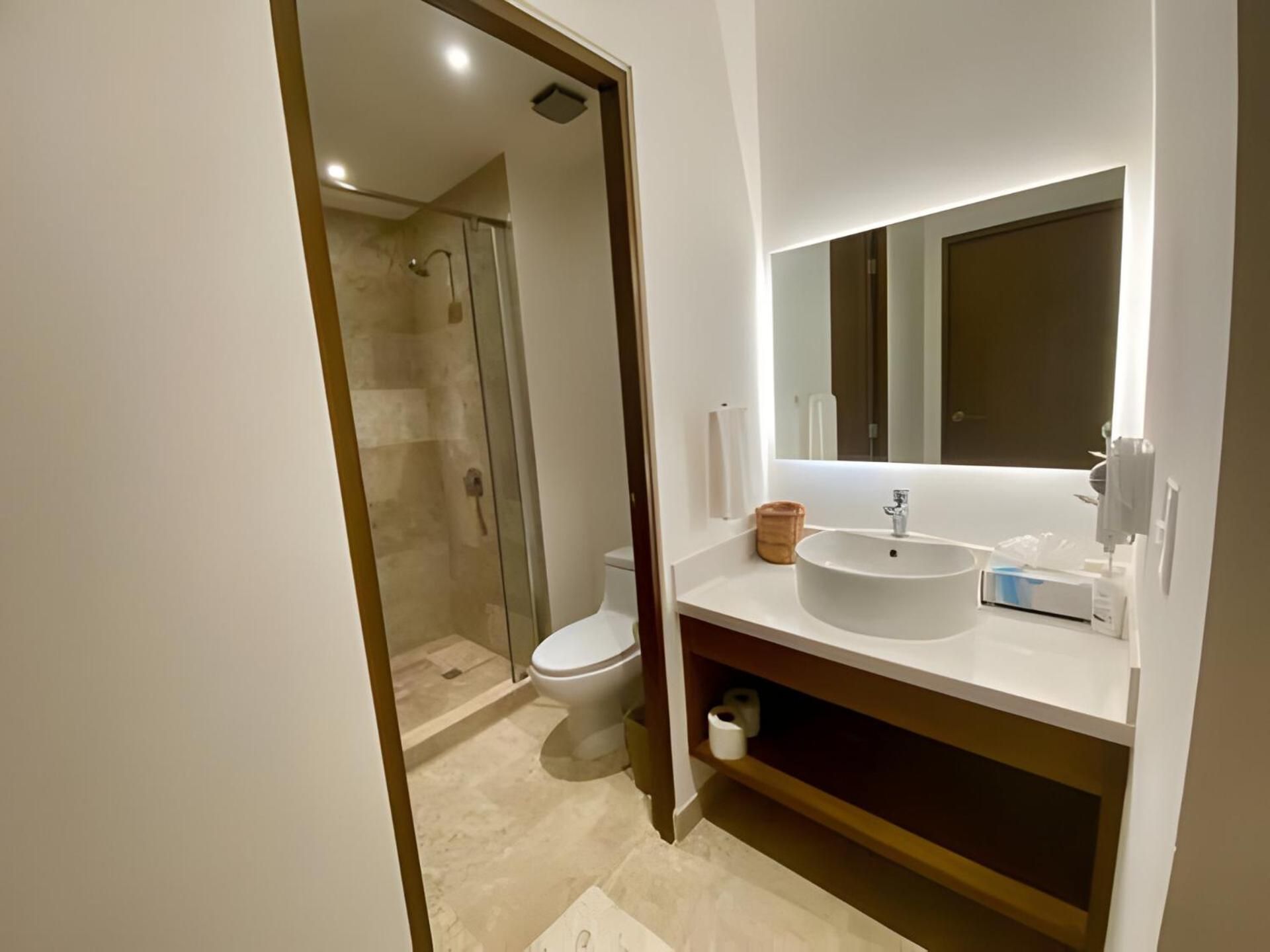 Deluxe One-Bedroom Apartment