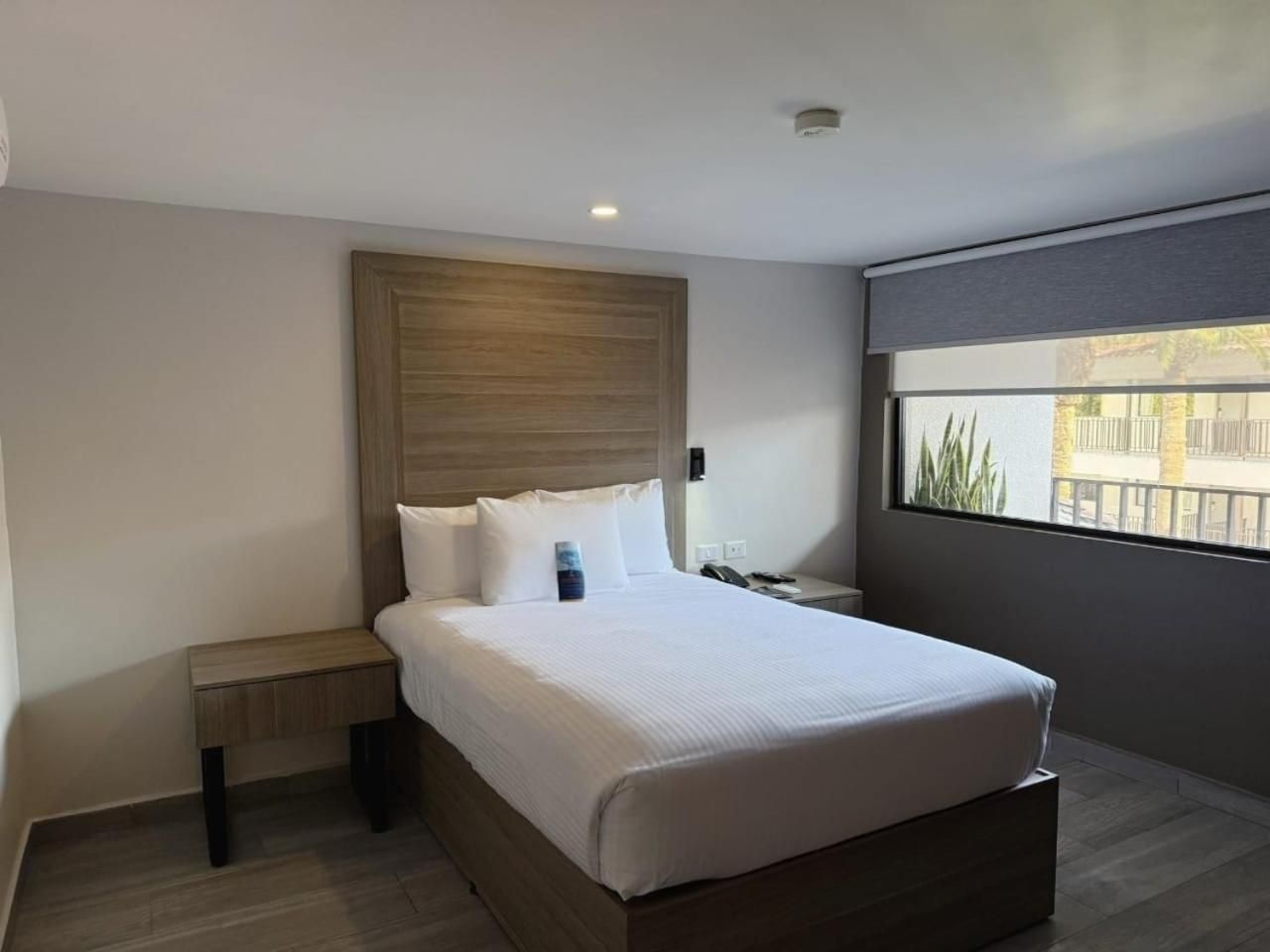 1 Single Bed, Nonsmoking