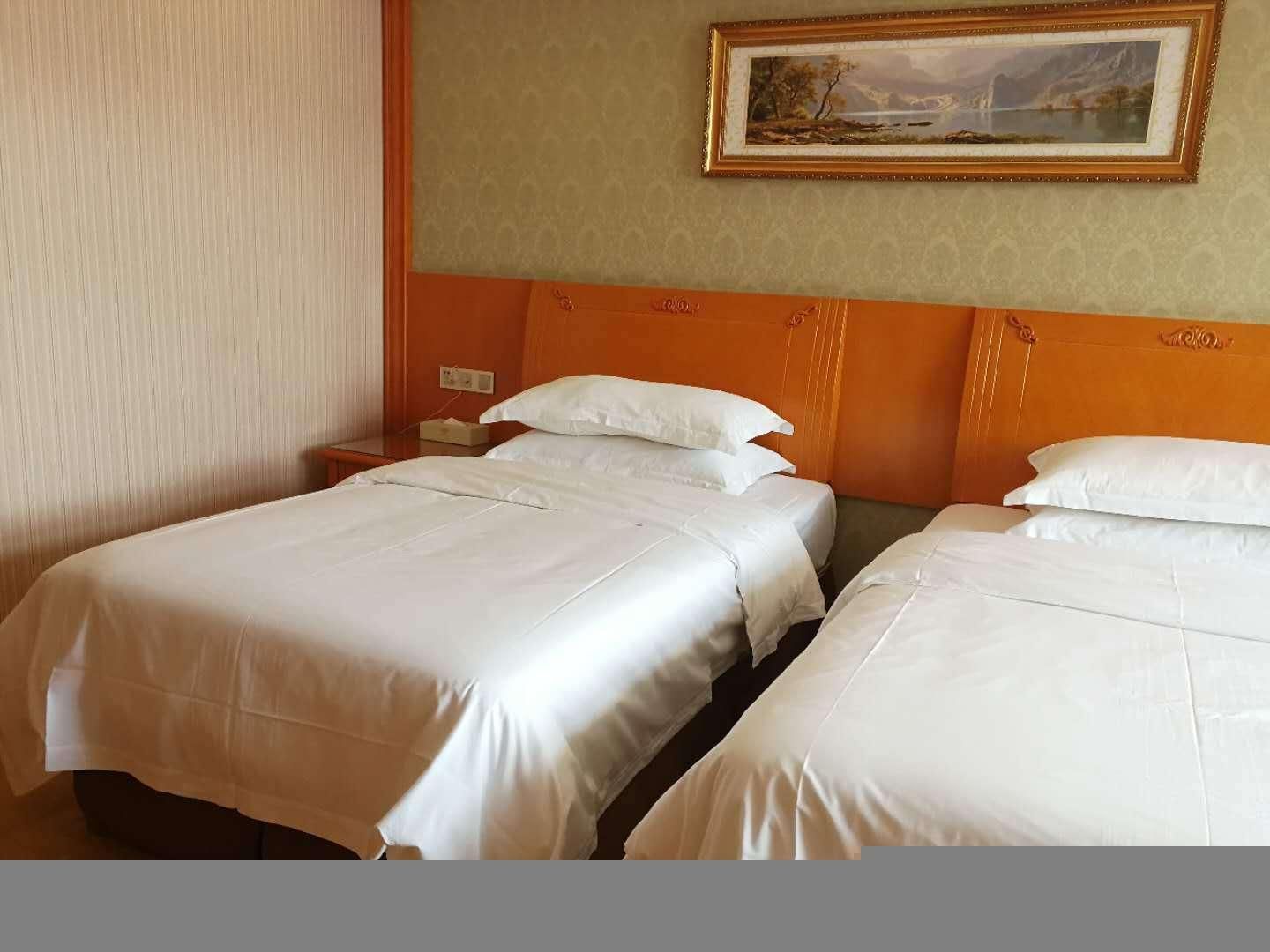 vienna - business twin room