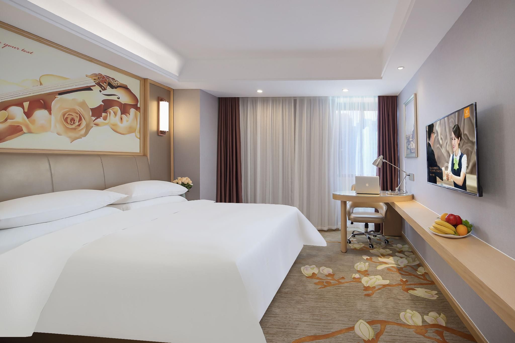 Vienna - Standard Single Room