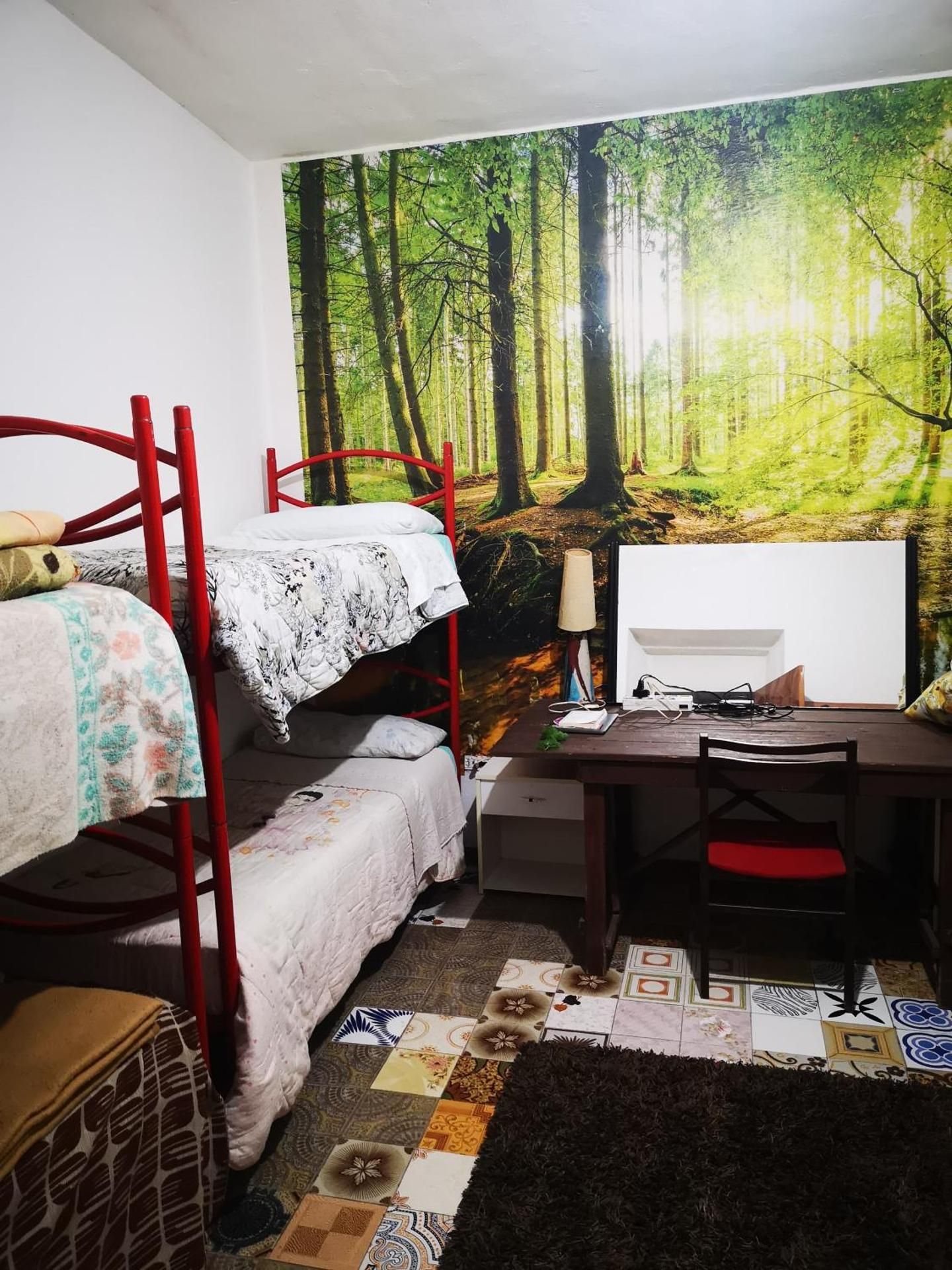 Bed in 6-Bed Mixed Dormitory Room