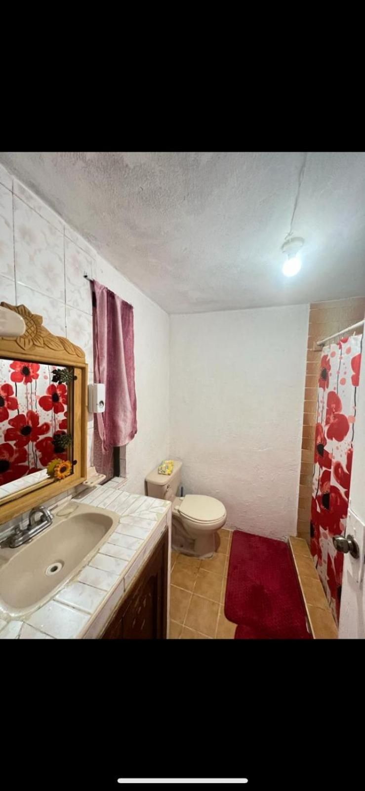 Budget Single Room