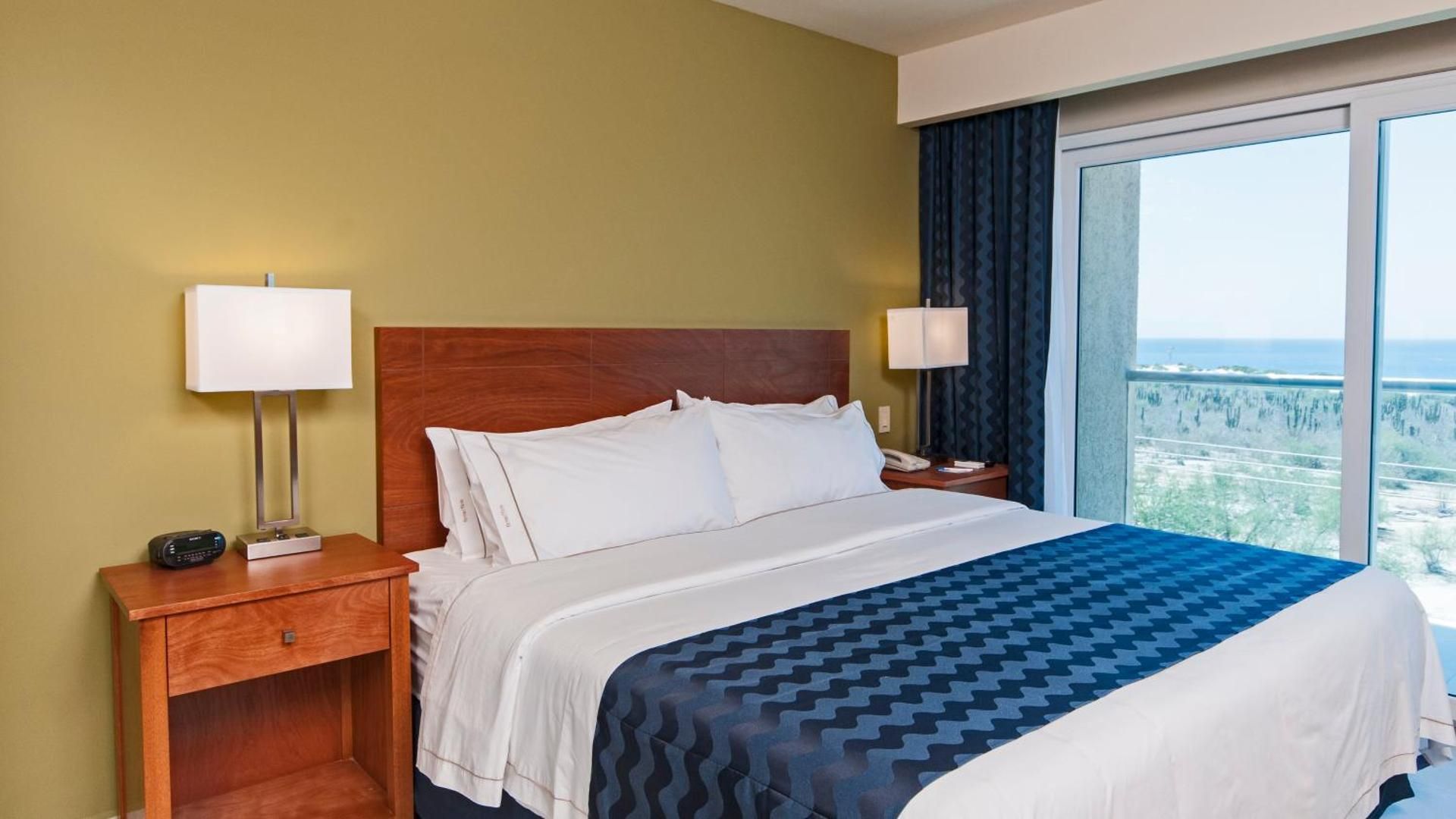 1 King Bed Suite
