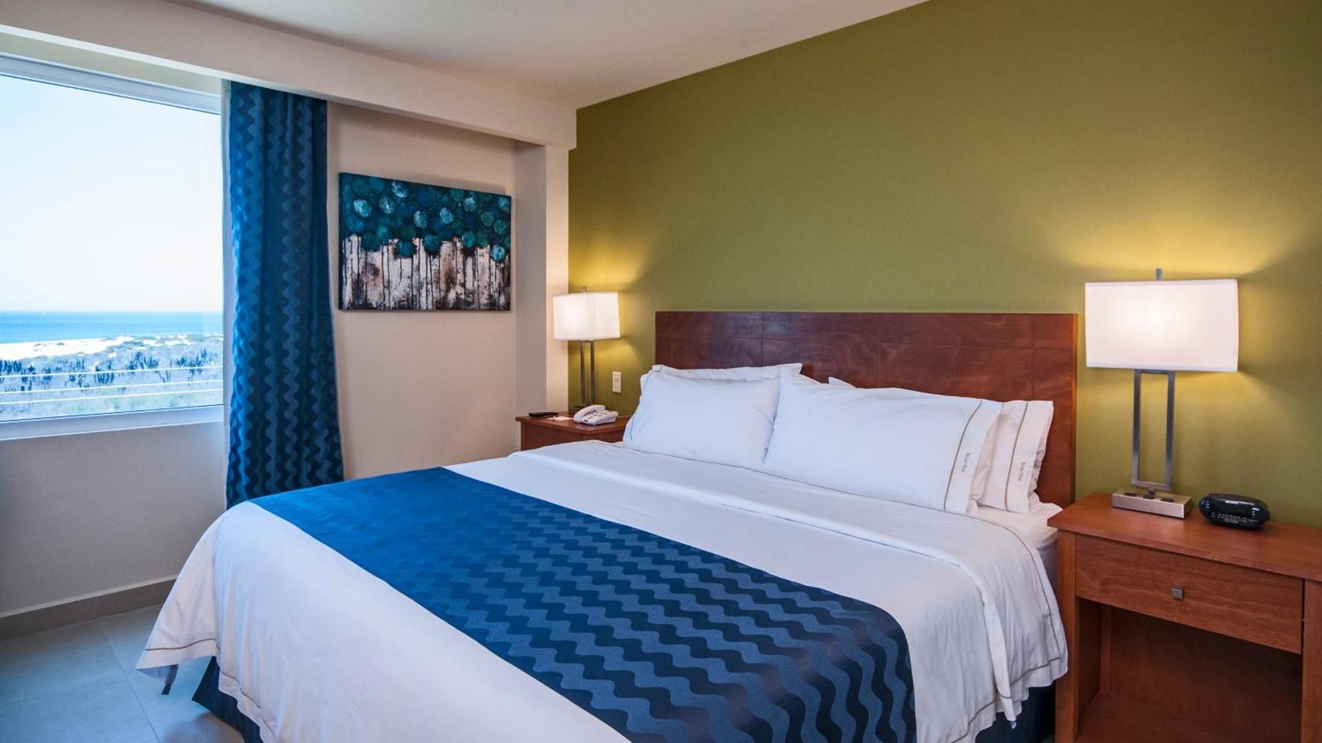 1 King Bed Standard Accessibleibility