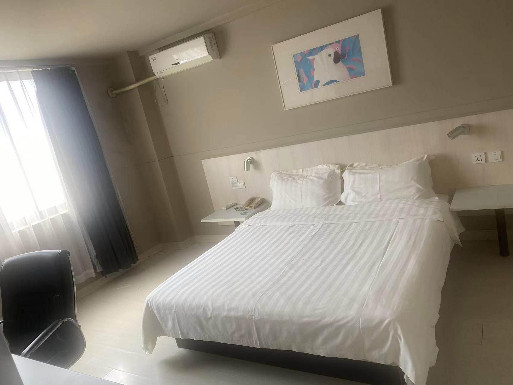 Standard - Queen Room