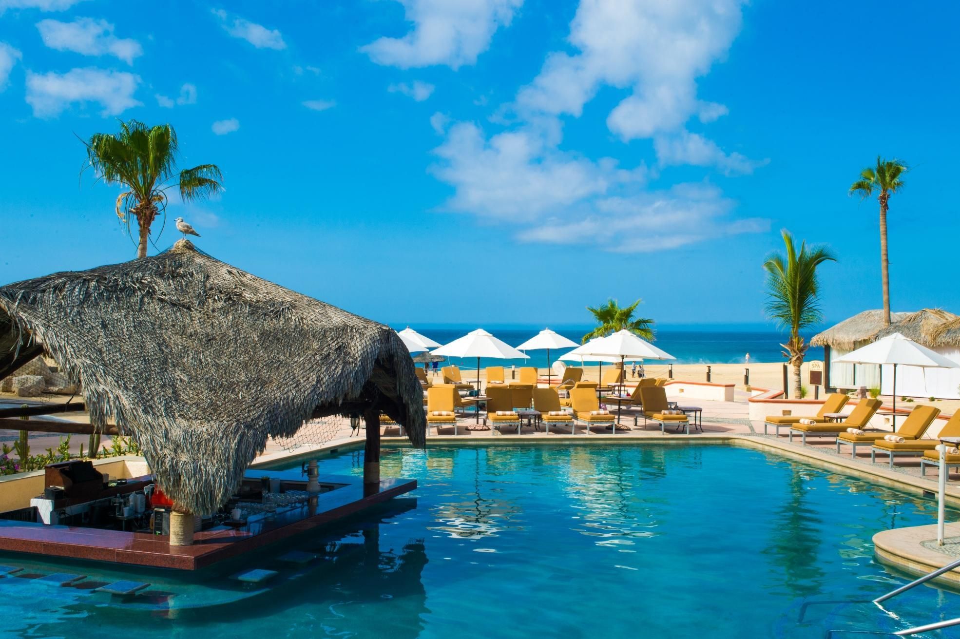 swimming pool [outdoor]