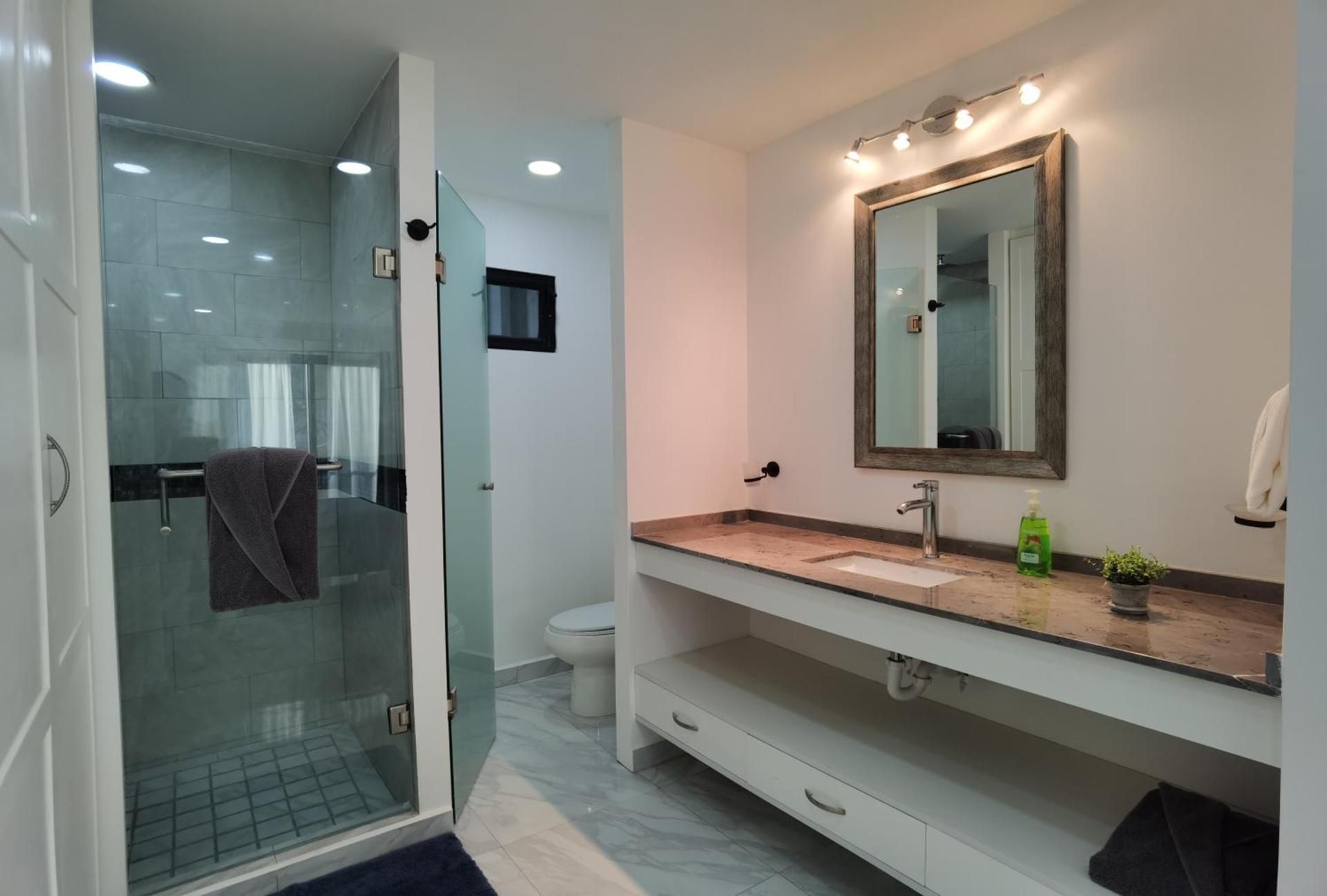 One-Bedroom Deluxe Apartment