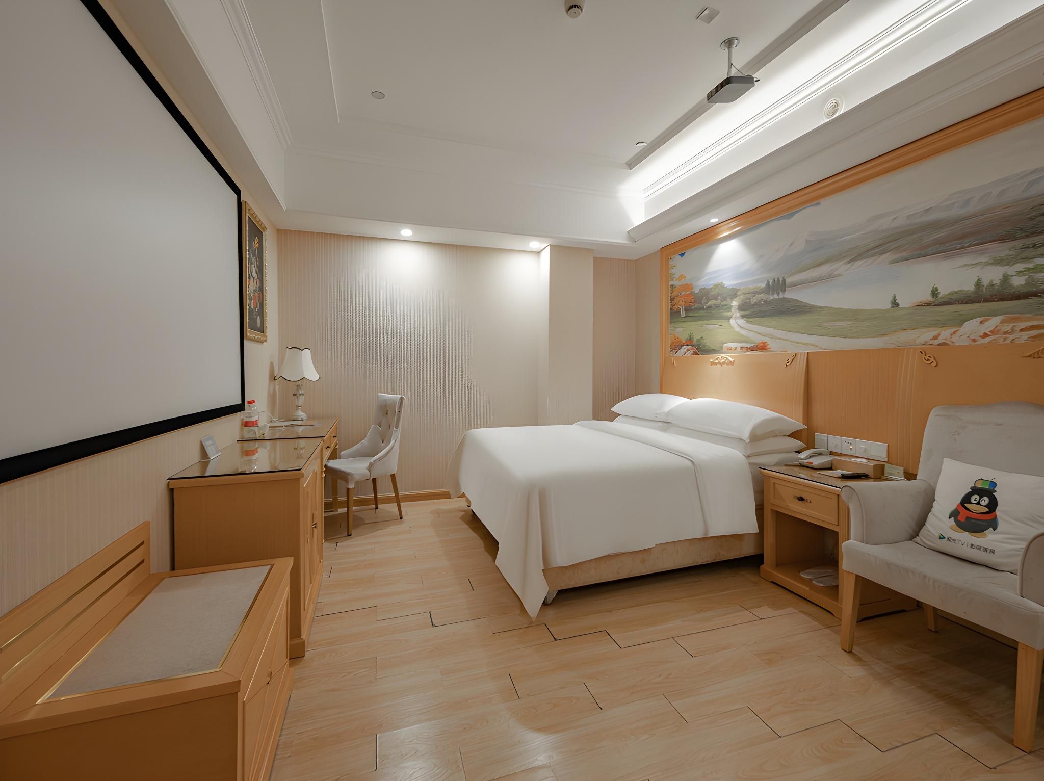 Vienna - Cinema Bed Room