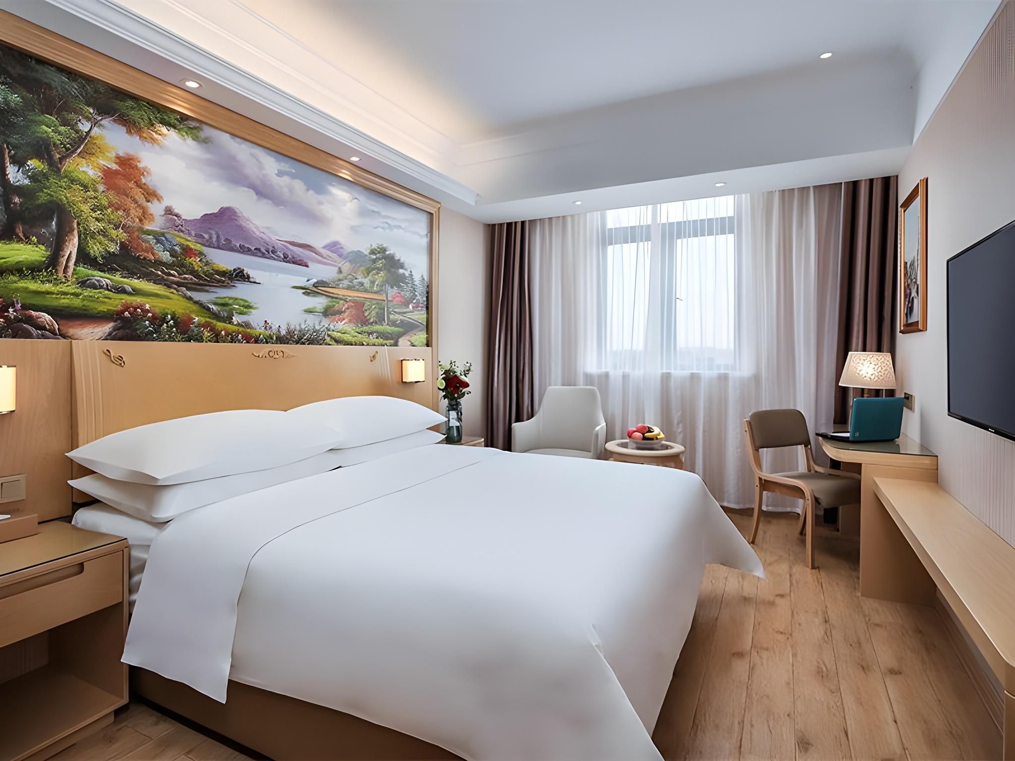 Vienna - Executive 1 Bed Room