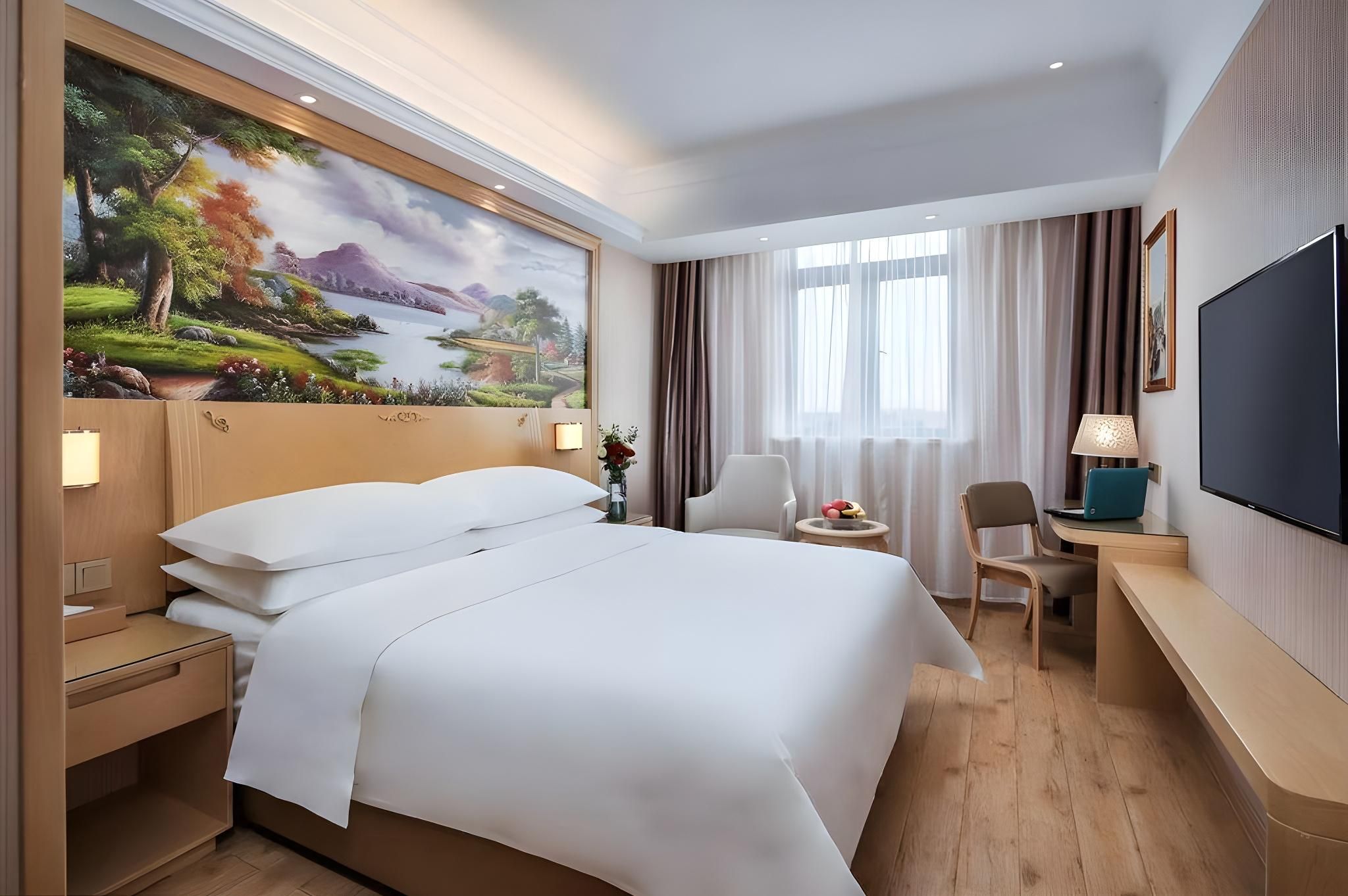 Vienna - Executive Room for 2 Guests