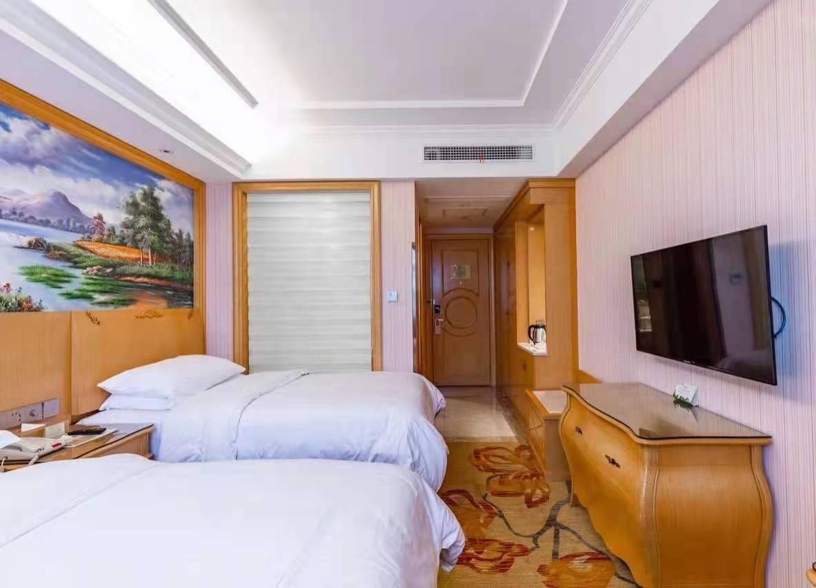 Vienna - Standard Twin