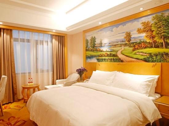 Vienna - Deluxe Room