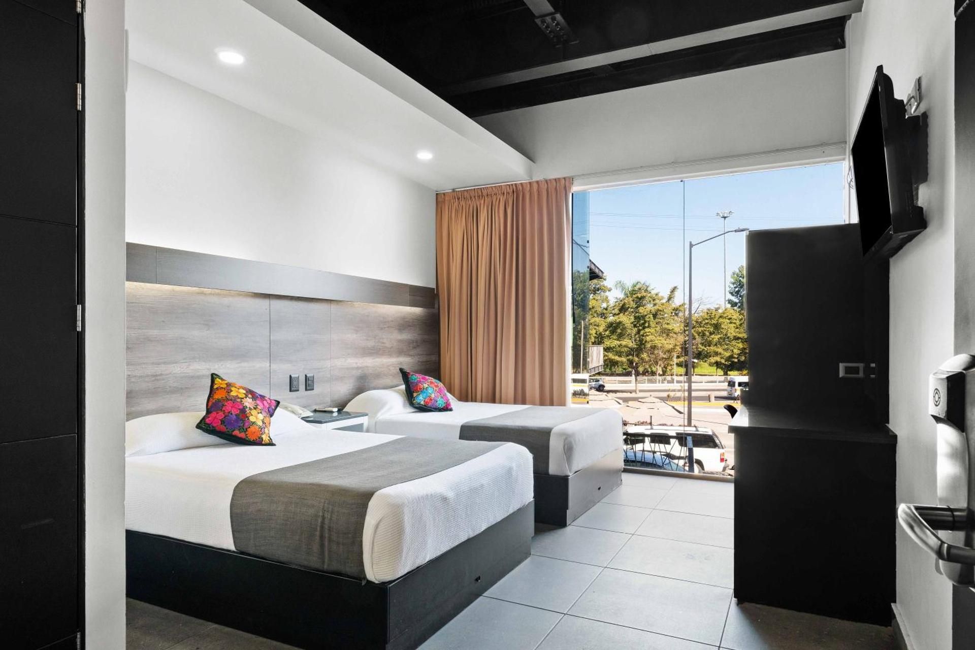 Homesuites Malecon Junior Suite 2