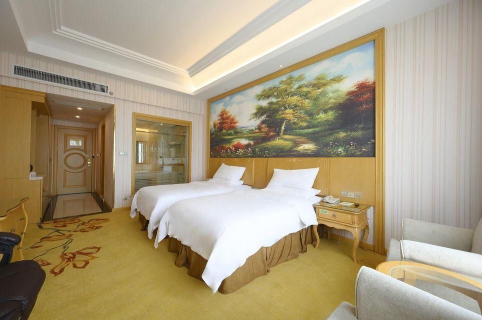 Vienna - Deluxe Room