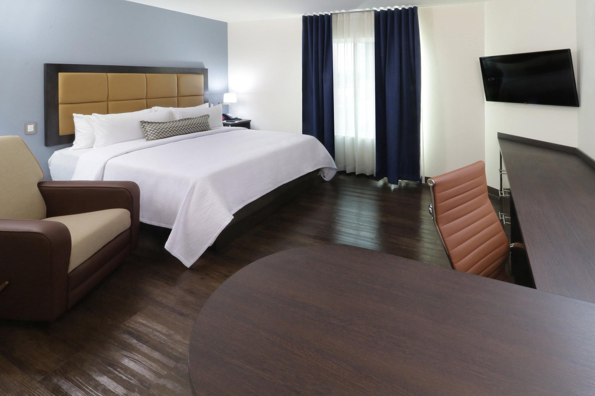 1 King Bed Studio Ste Con Bidet And Tub