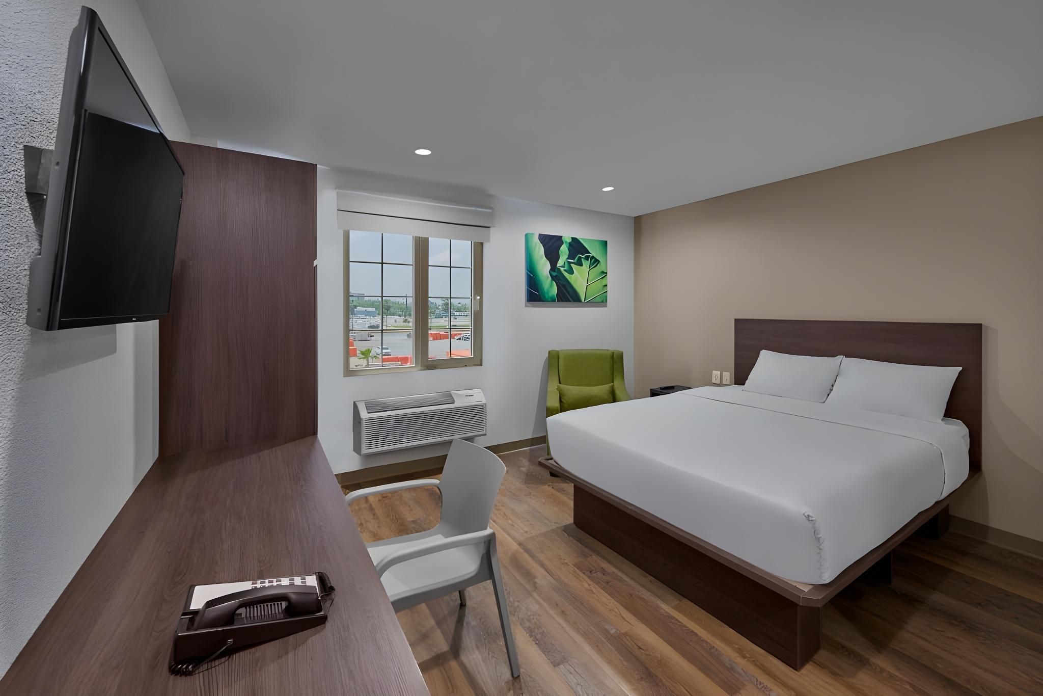Queen Suite
