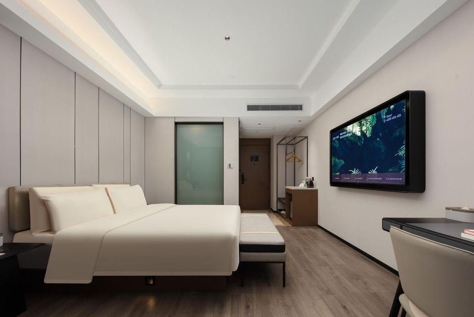 Executive room, Guest room, 1 Queen