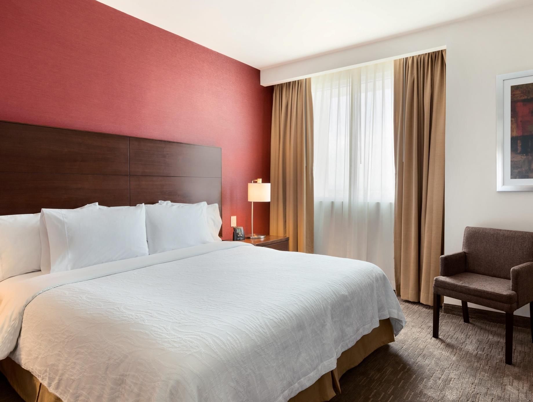 1 King Bed