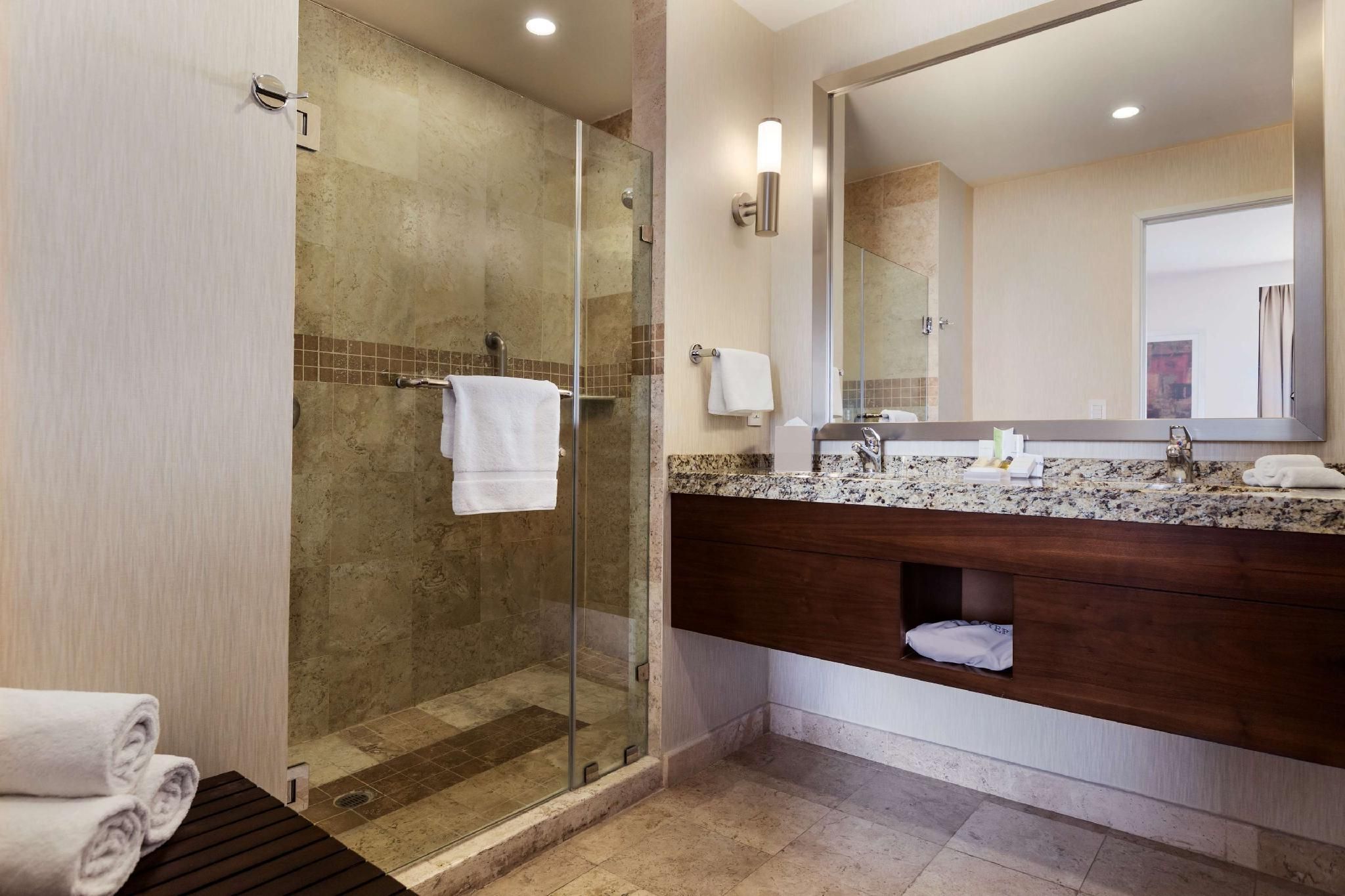 1 KING BED 1 BEDROOM SUITE WITH SOFABED