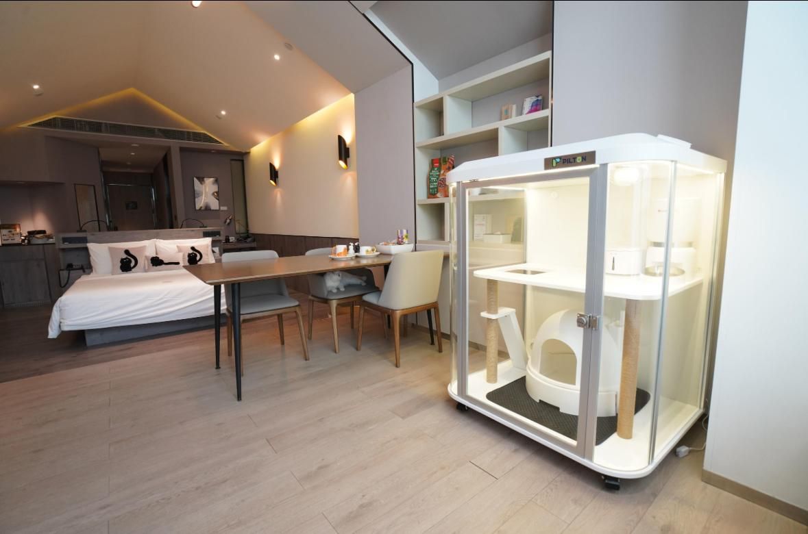 Pet Friendly - Cat Theme Room