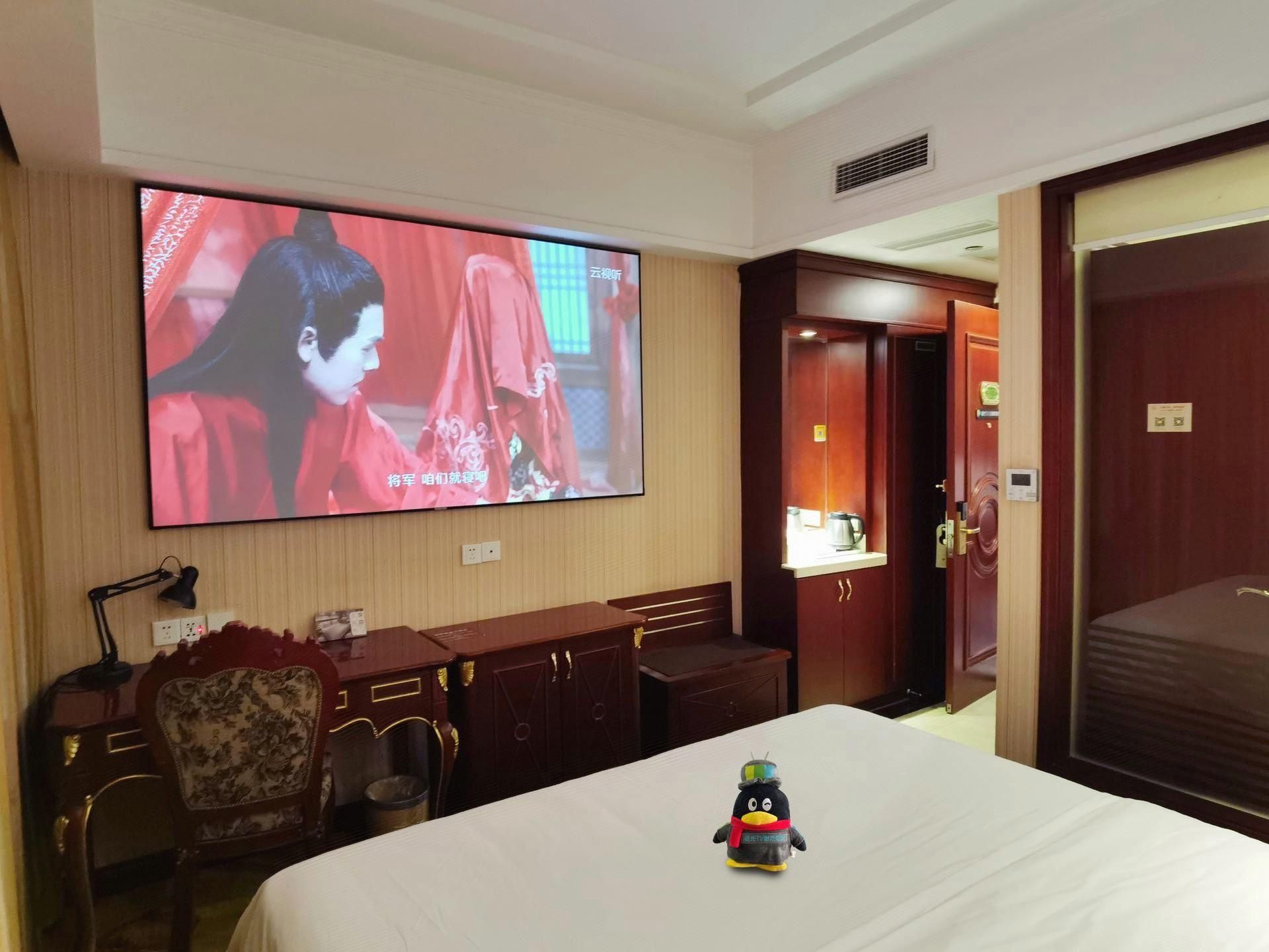 Vienna - Cinema Bed Room