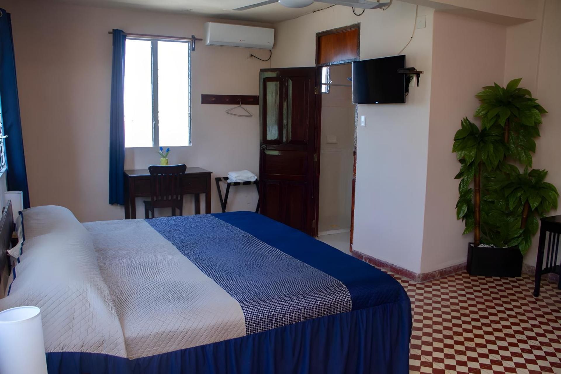 Superior King Suite