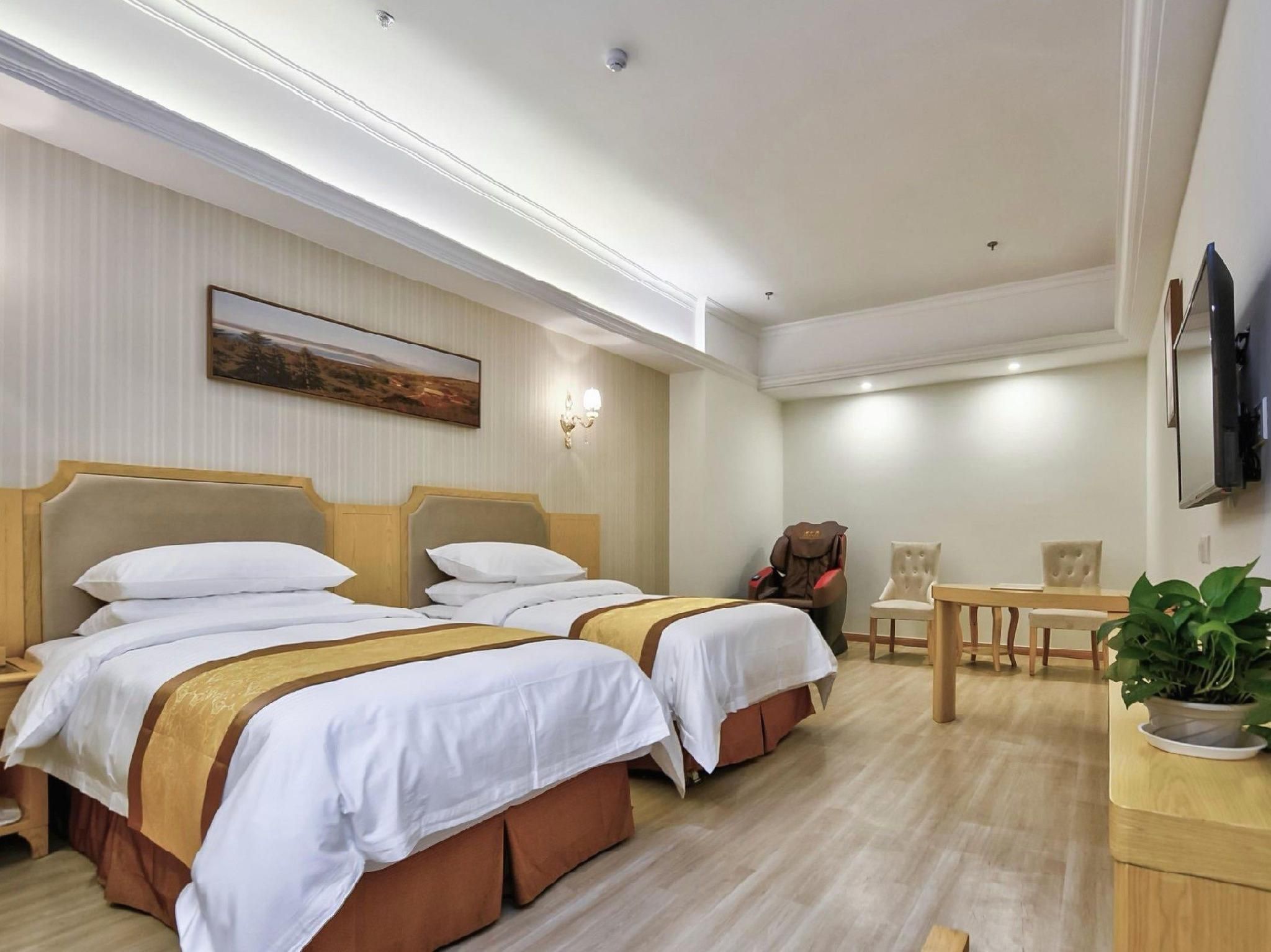 Vienna - Functional Chess Room With Twin Bed