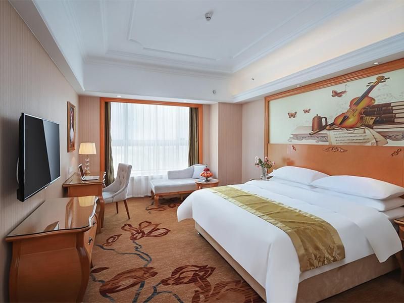 Vienna - Deluxe Room With One Bed