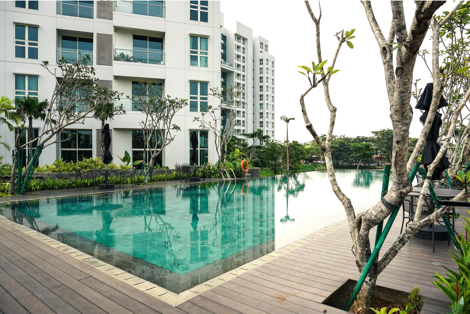 swimming pool [outdoor]