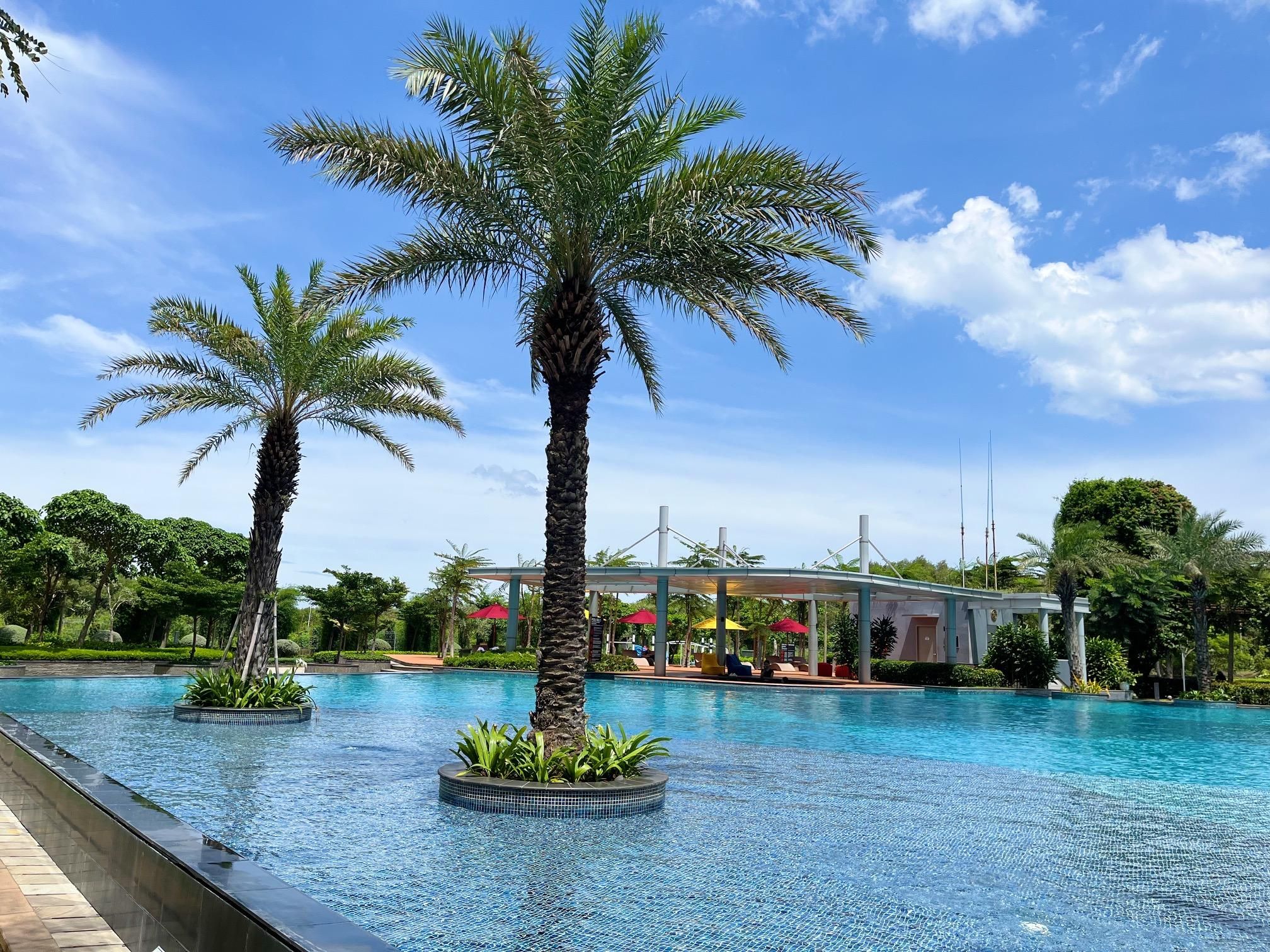 swimming pool [outdoor]