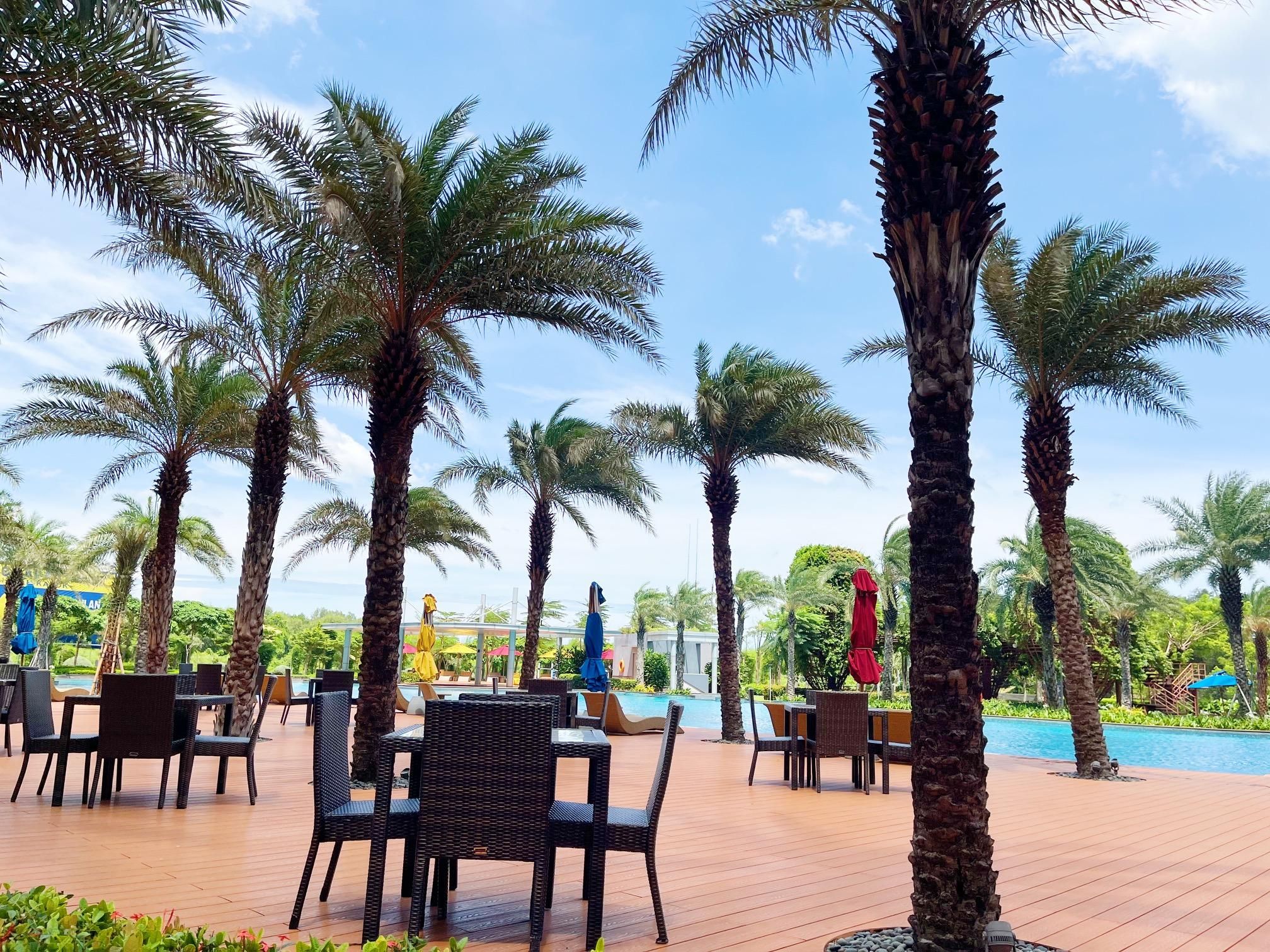 swimming pool [outdoor]