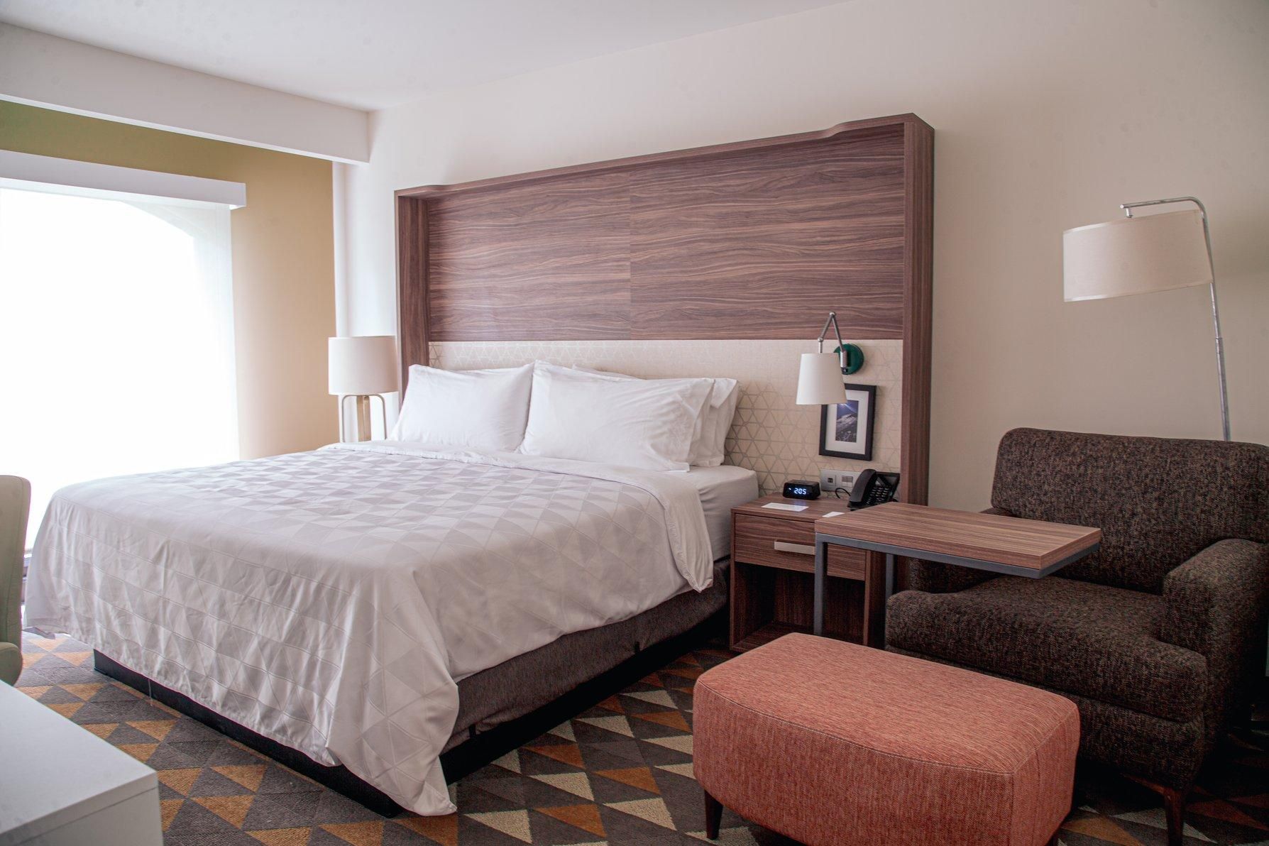 1 King Bed One Bedroom Suite